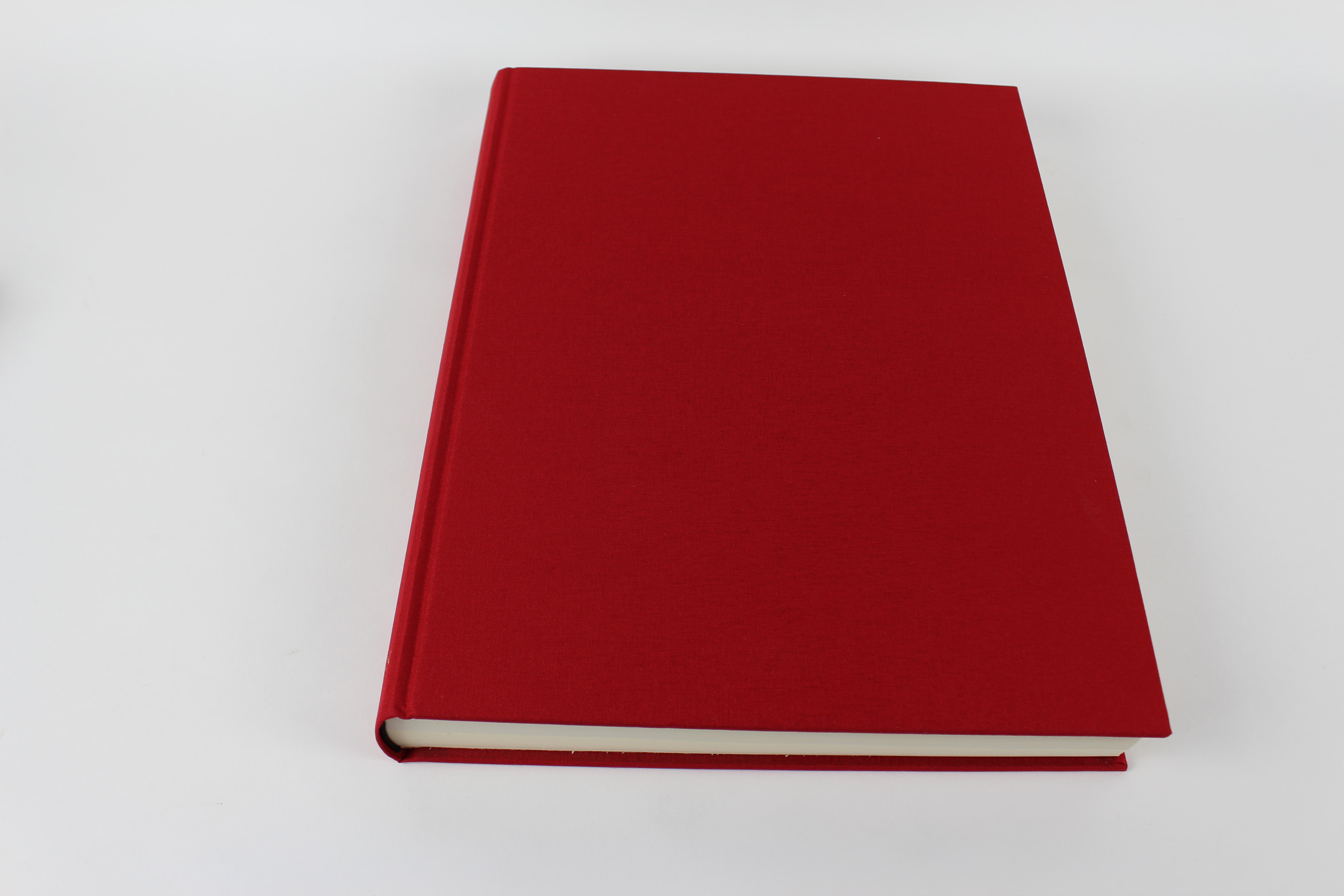2009 First Edition "The Red Book: Liber Novus" by C. G. Jung