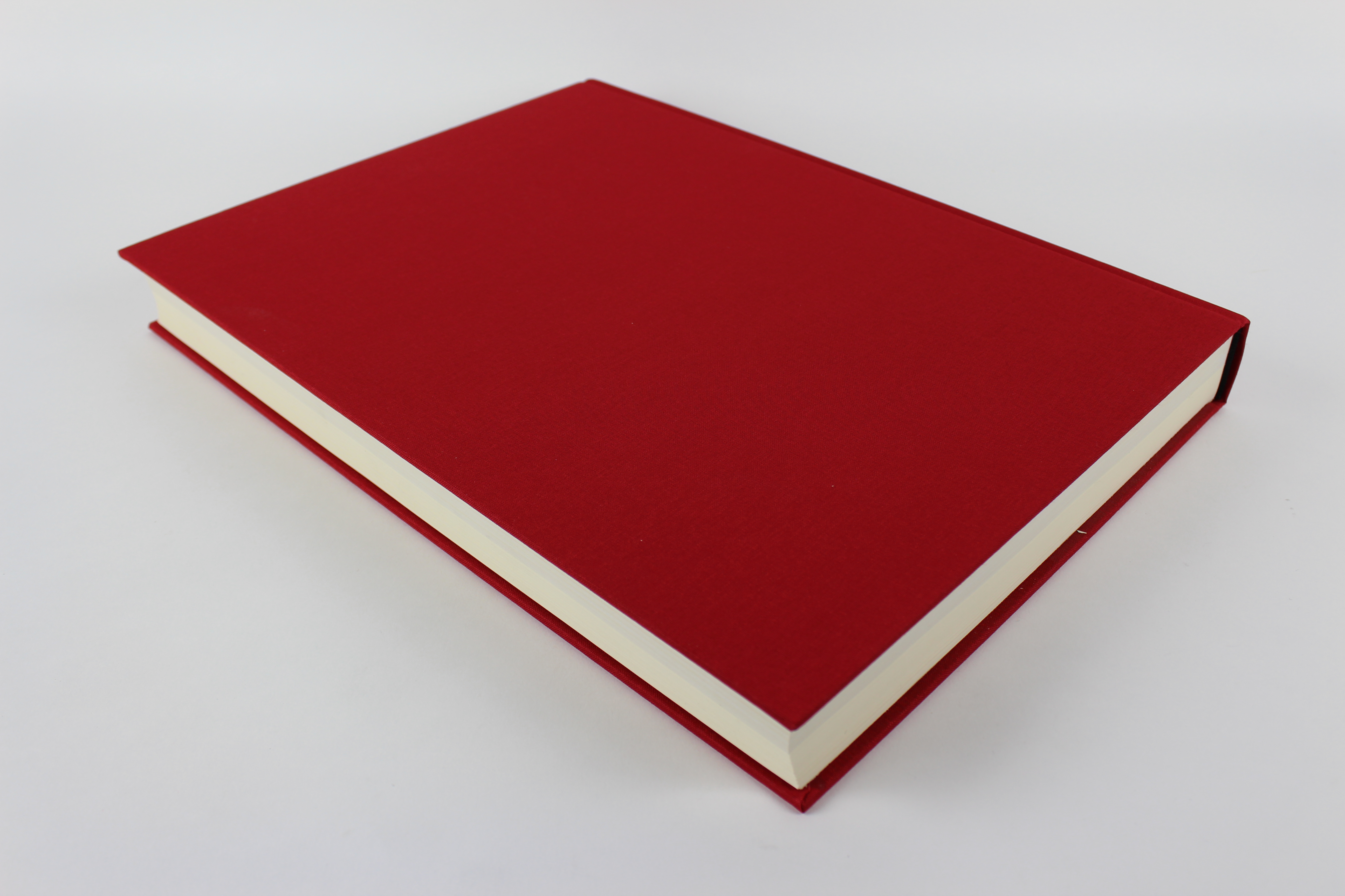 2009 First Edition "The Red Book: Liber Novus" by C. G. Jung