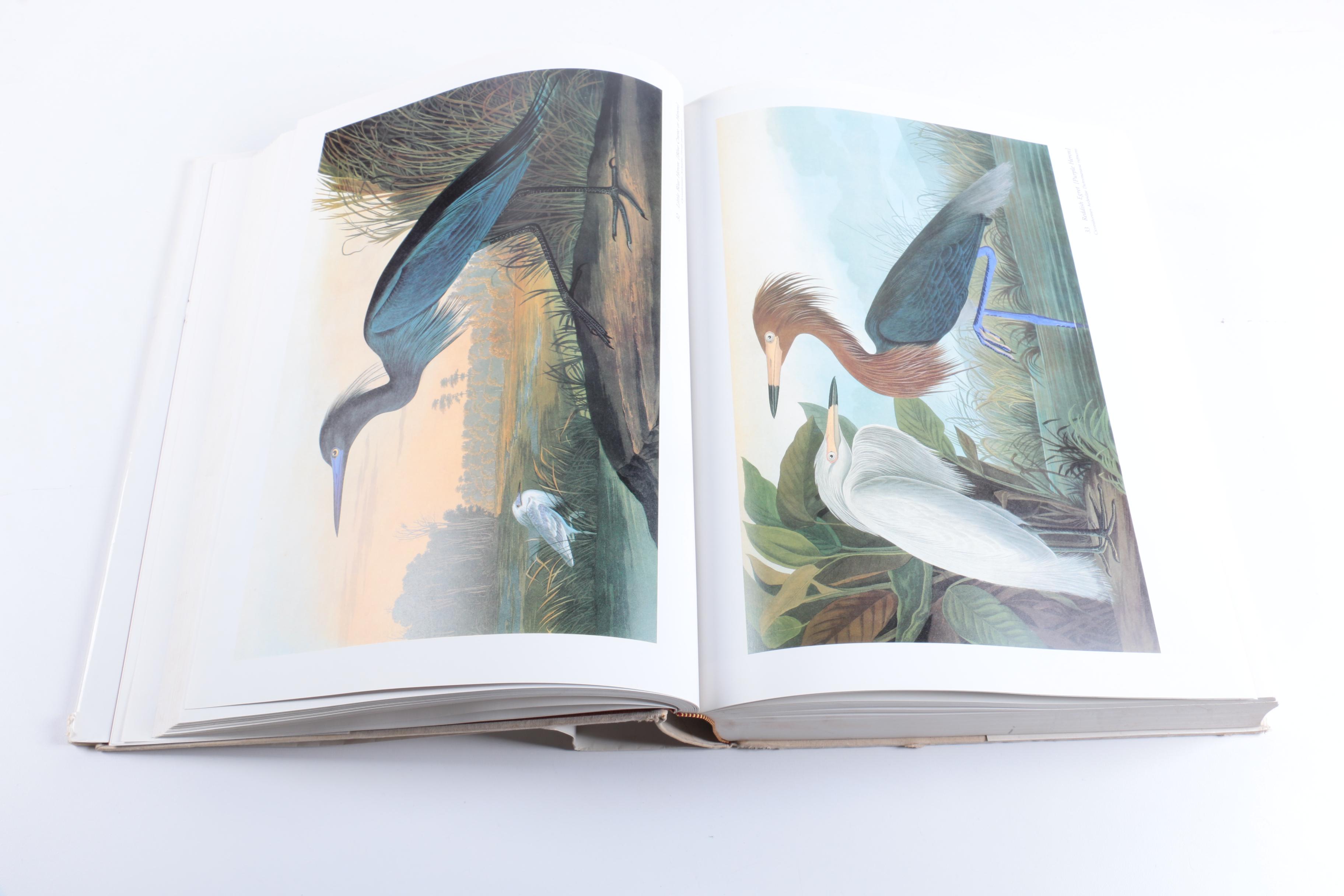 1981 "Audubon's Birds of America"