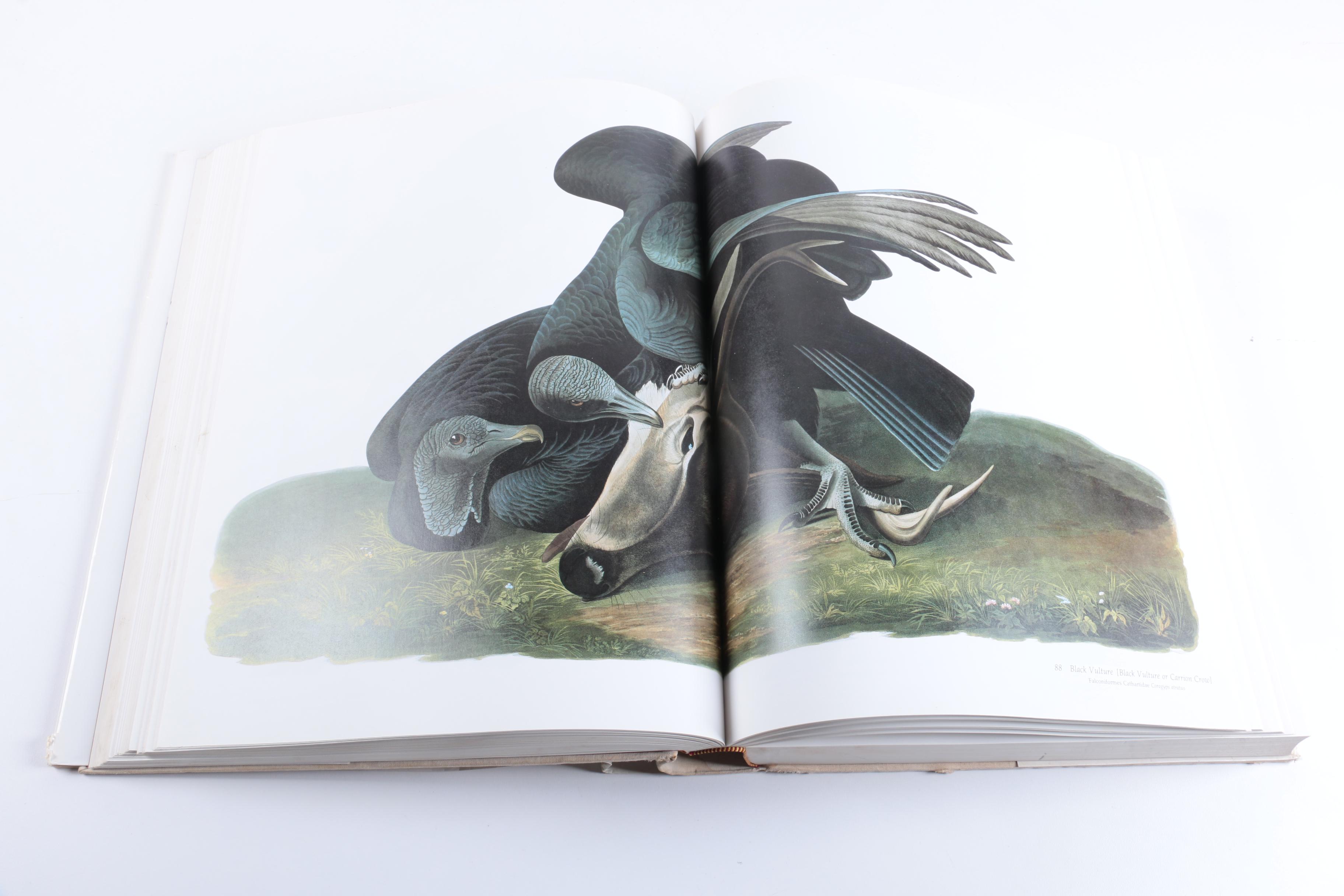 1981 "Audubon's Birds of America"