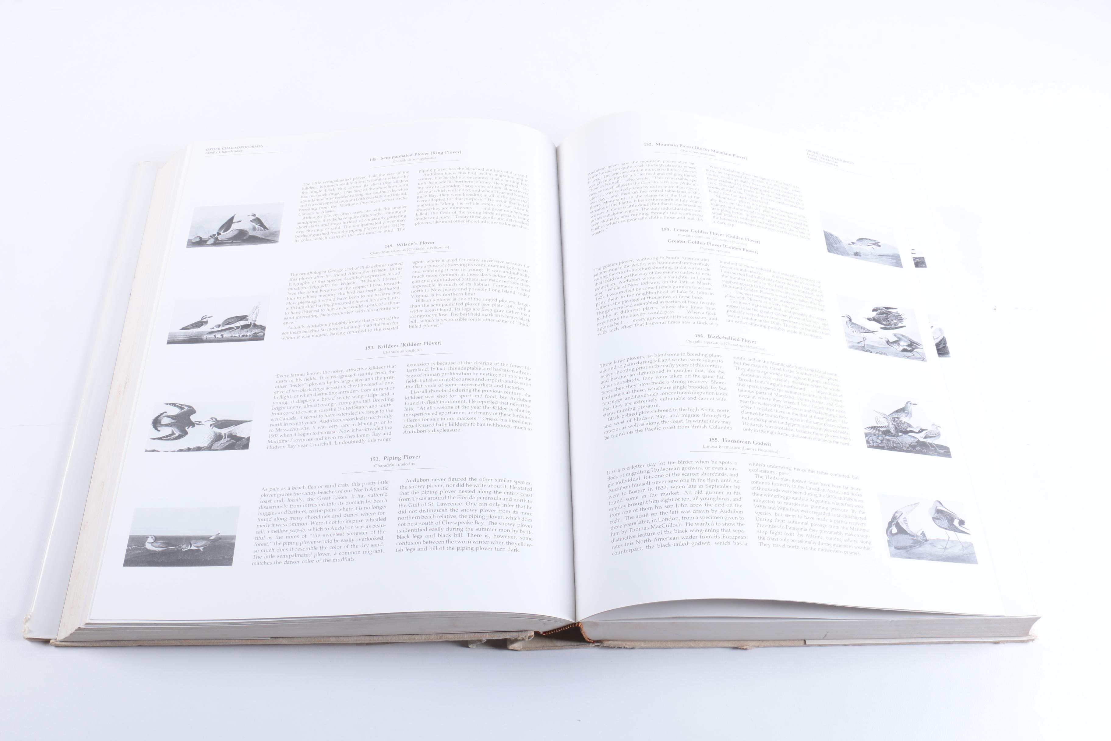 1981 "Audubon's Birds of America"