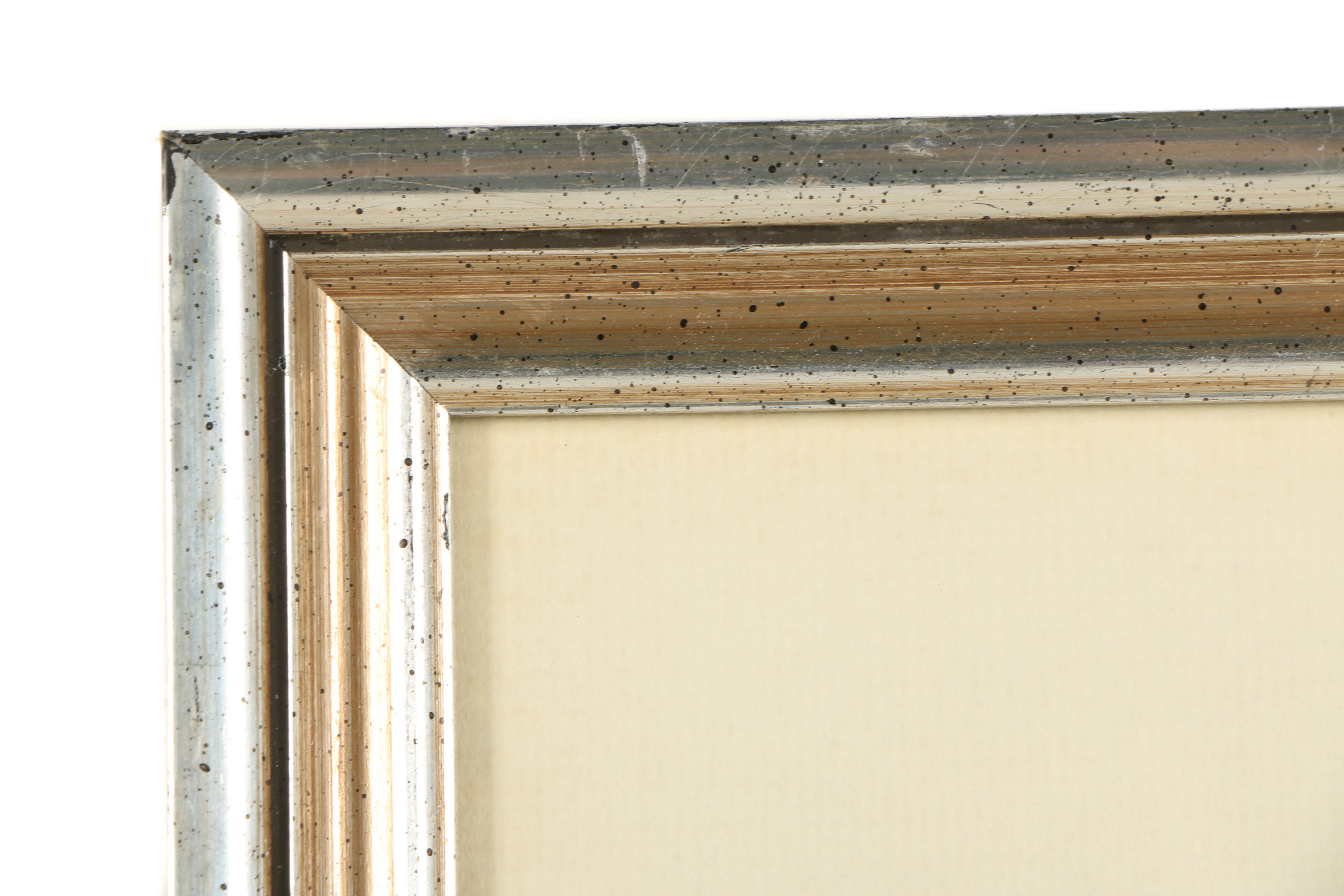 Hand-Colored Engraving "Arenaria Serpyllifolia"