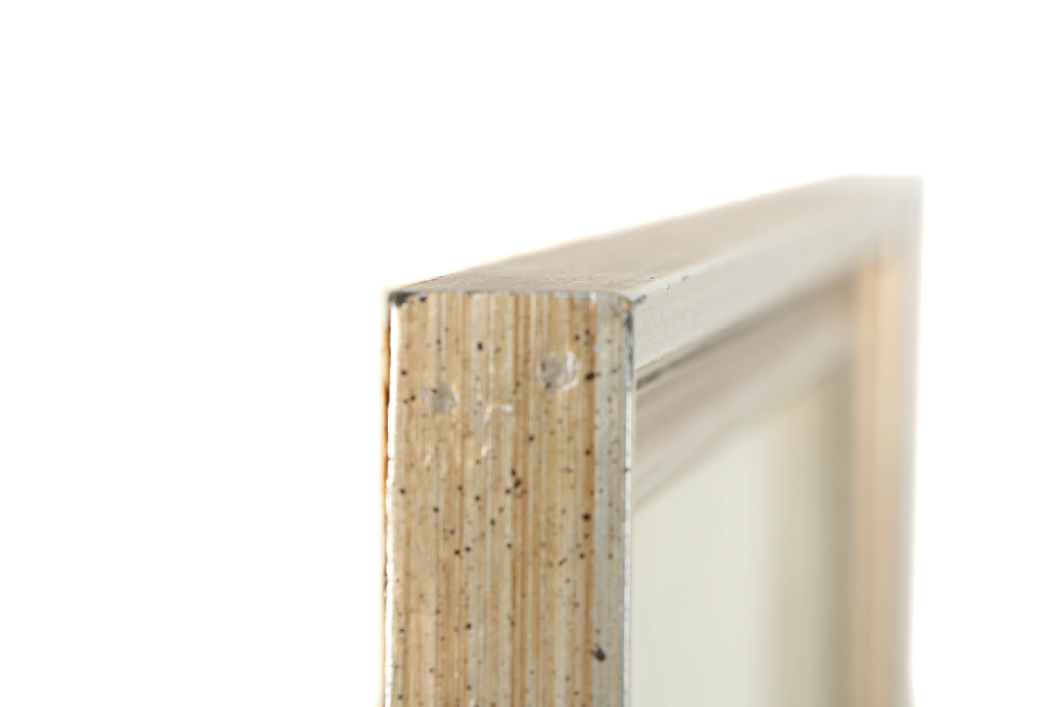 Hand-Colored Engraving "Arenaria Serpyllifolia"