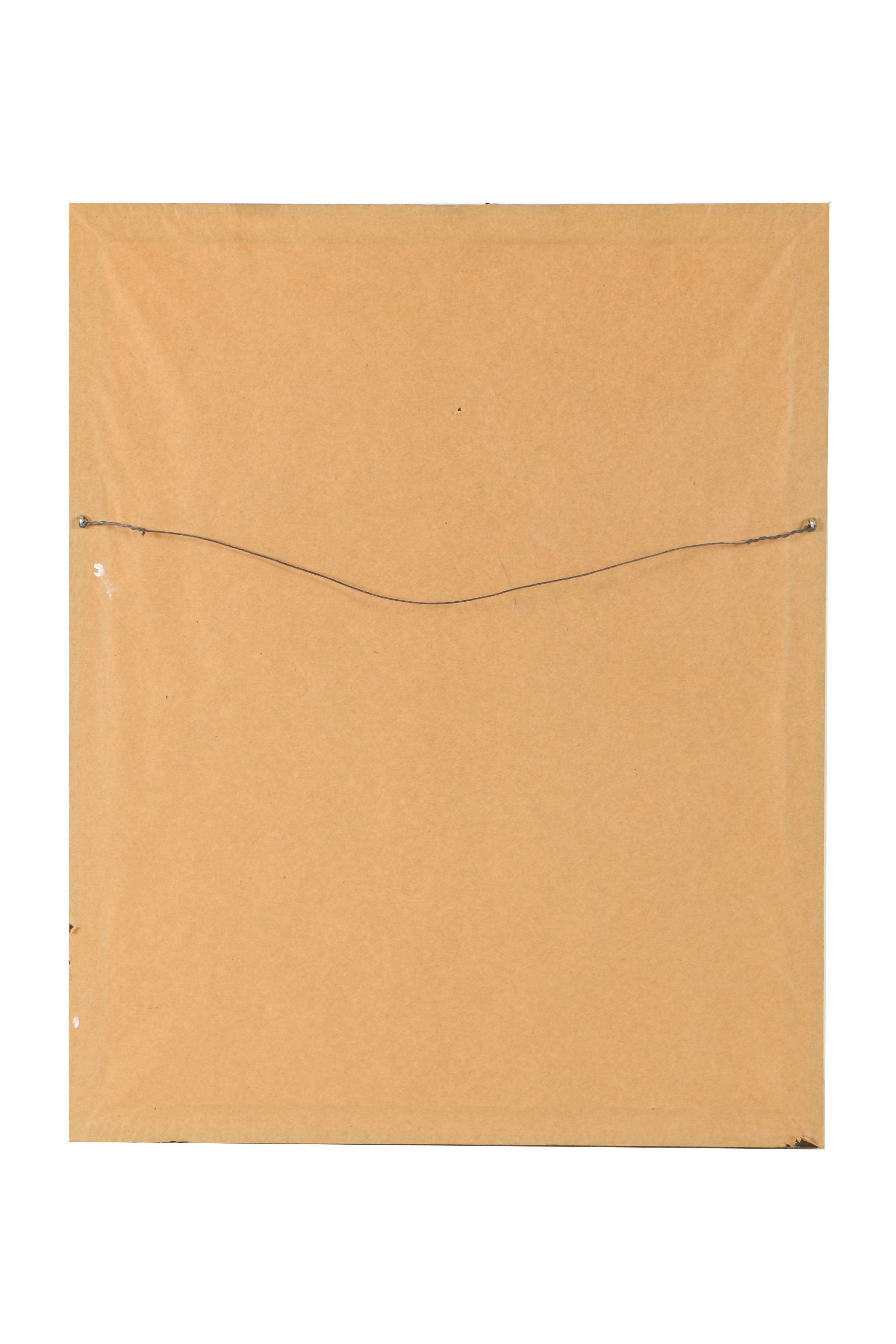 Hand-Colored Engraving "Arenaria Serpyllifolia"