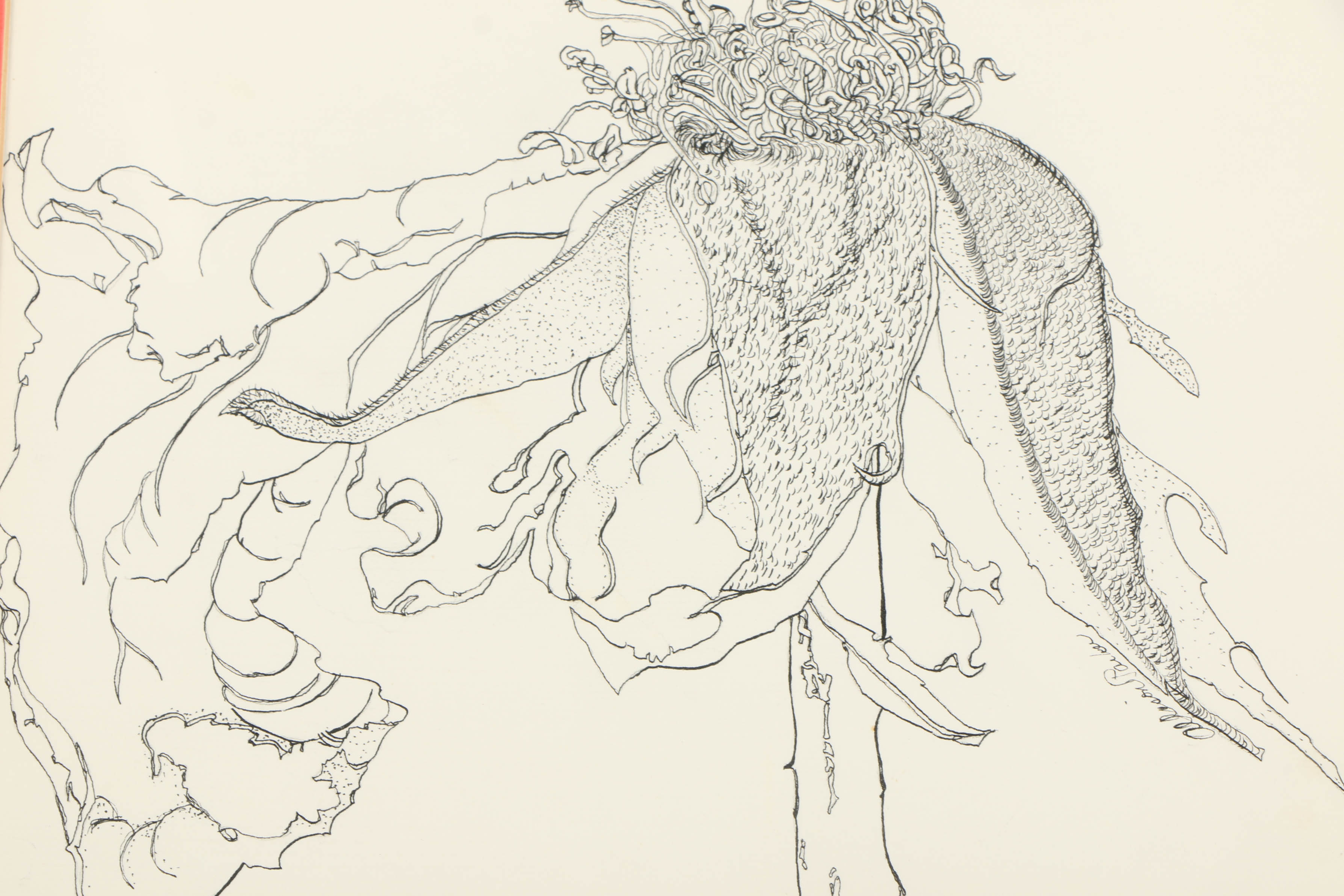 Allison Parker Botanical Ink Drawing