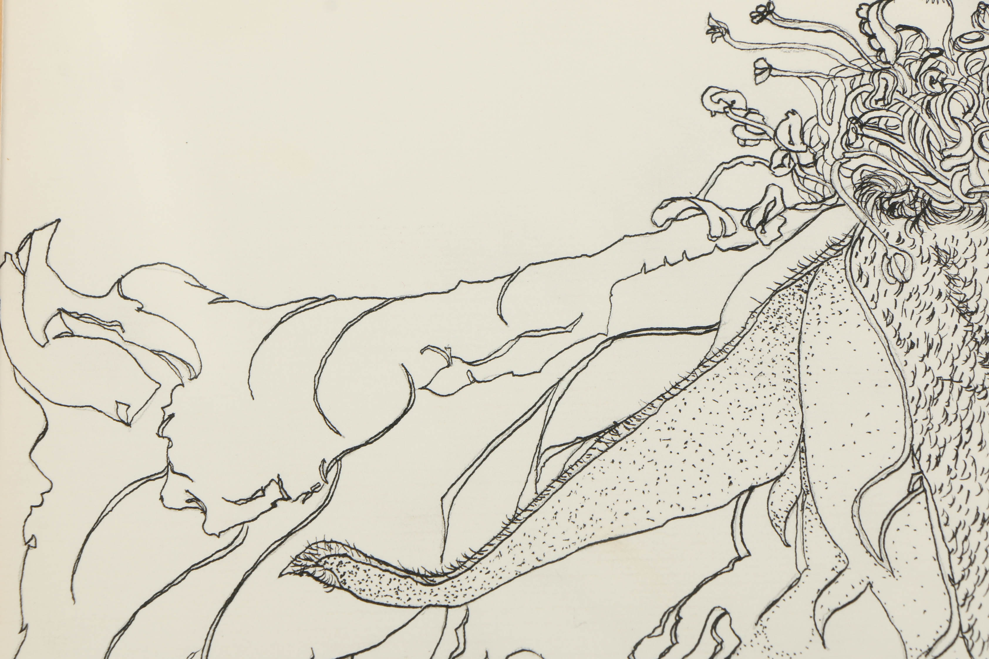 Allison Parker Botanical Ink Drawing