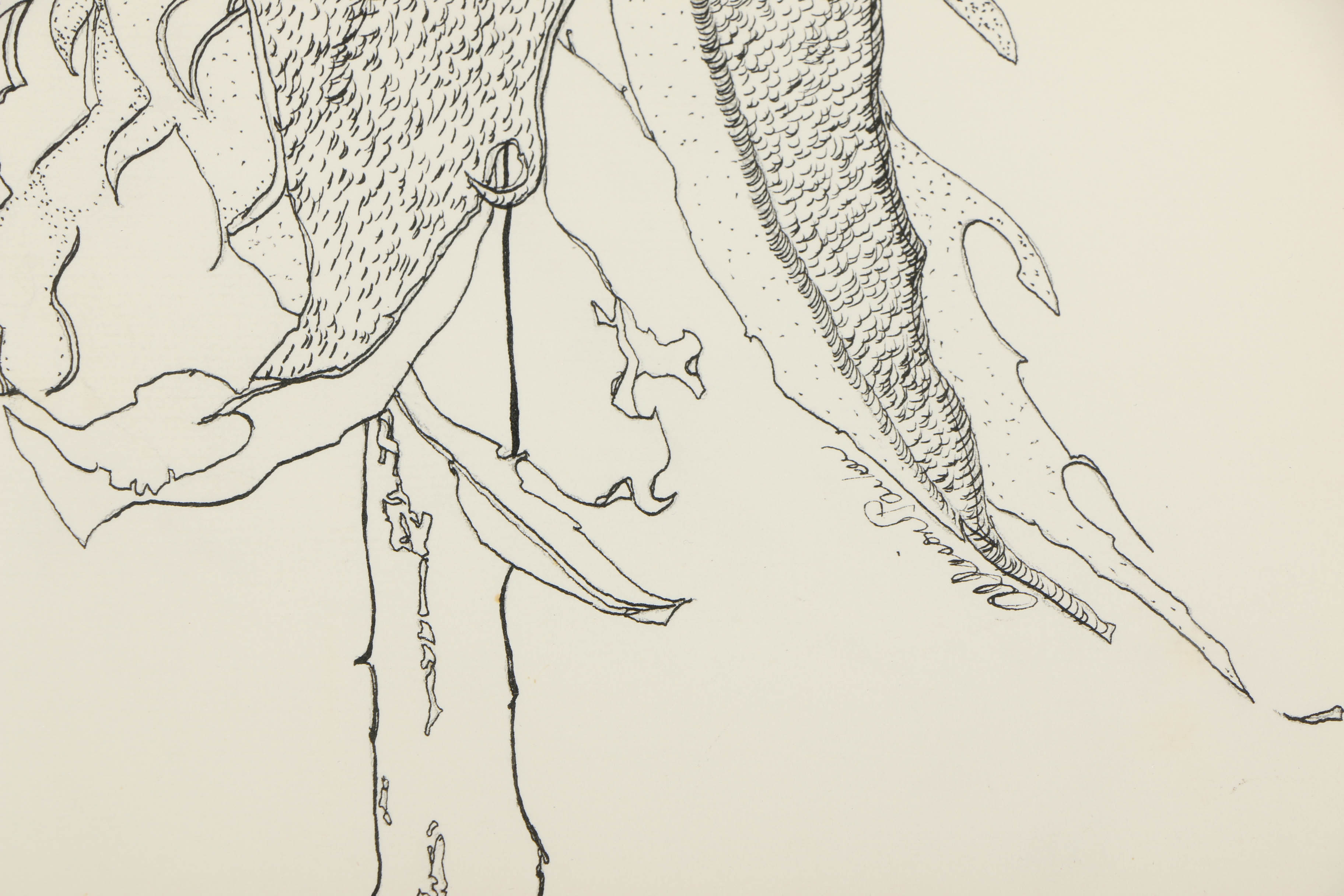 Allison Parker Botanical Ink Drawing