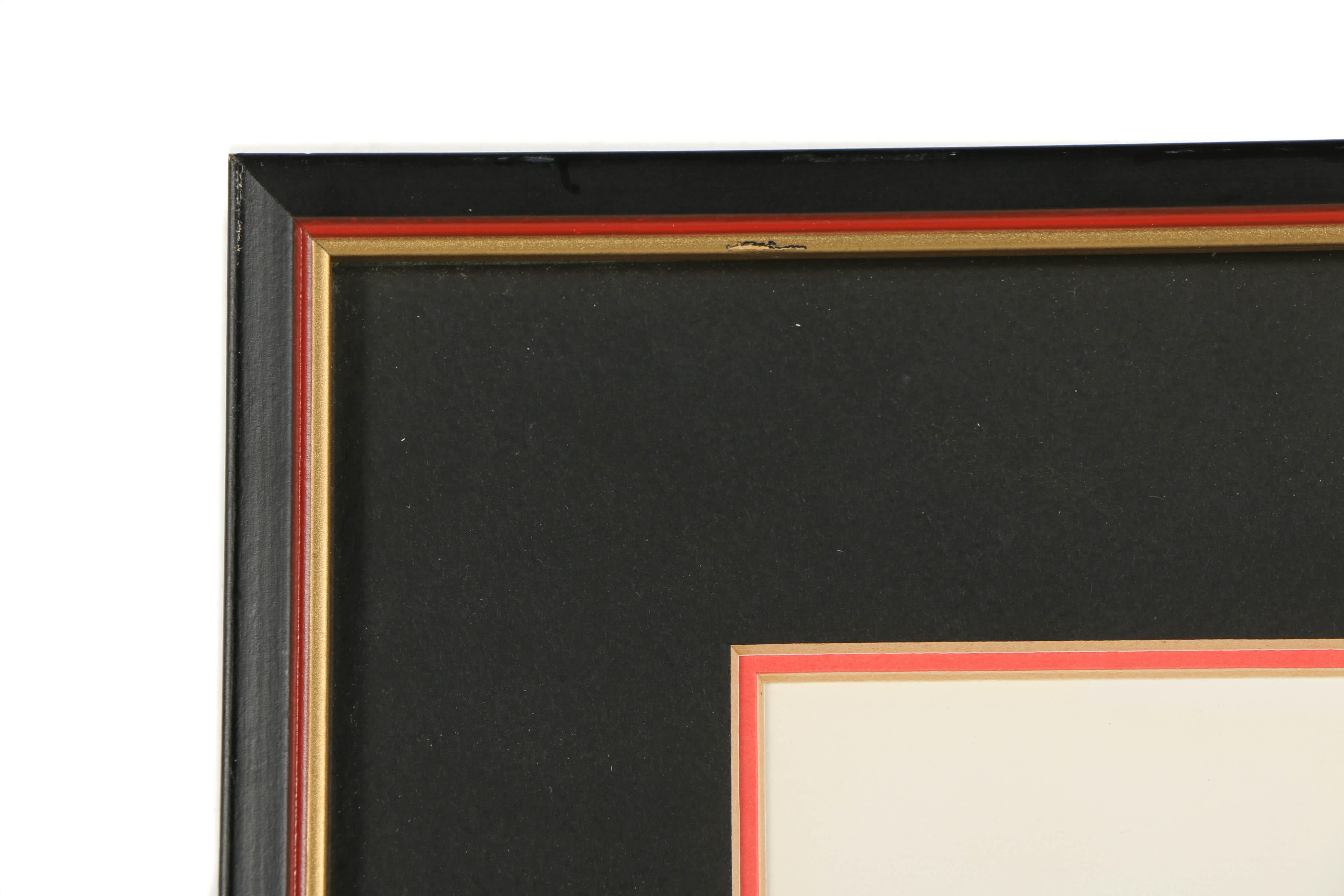 Allison Parker Botanical Ink Drawing