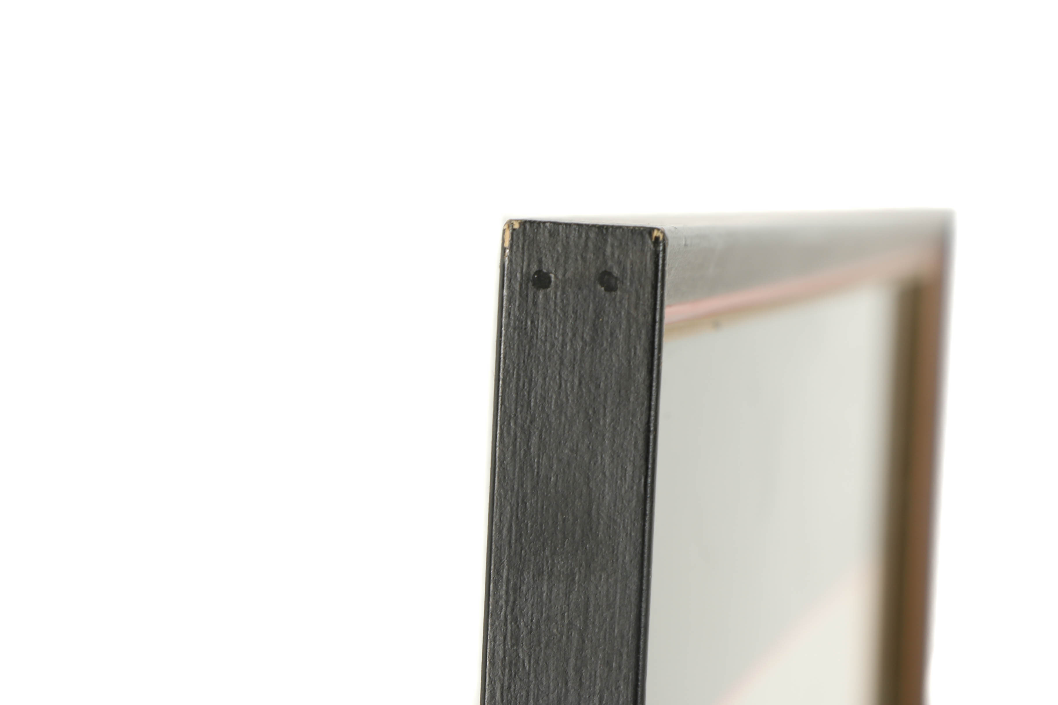 Allison Parker Botanical Ink Drawing