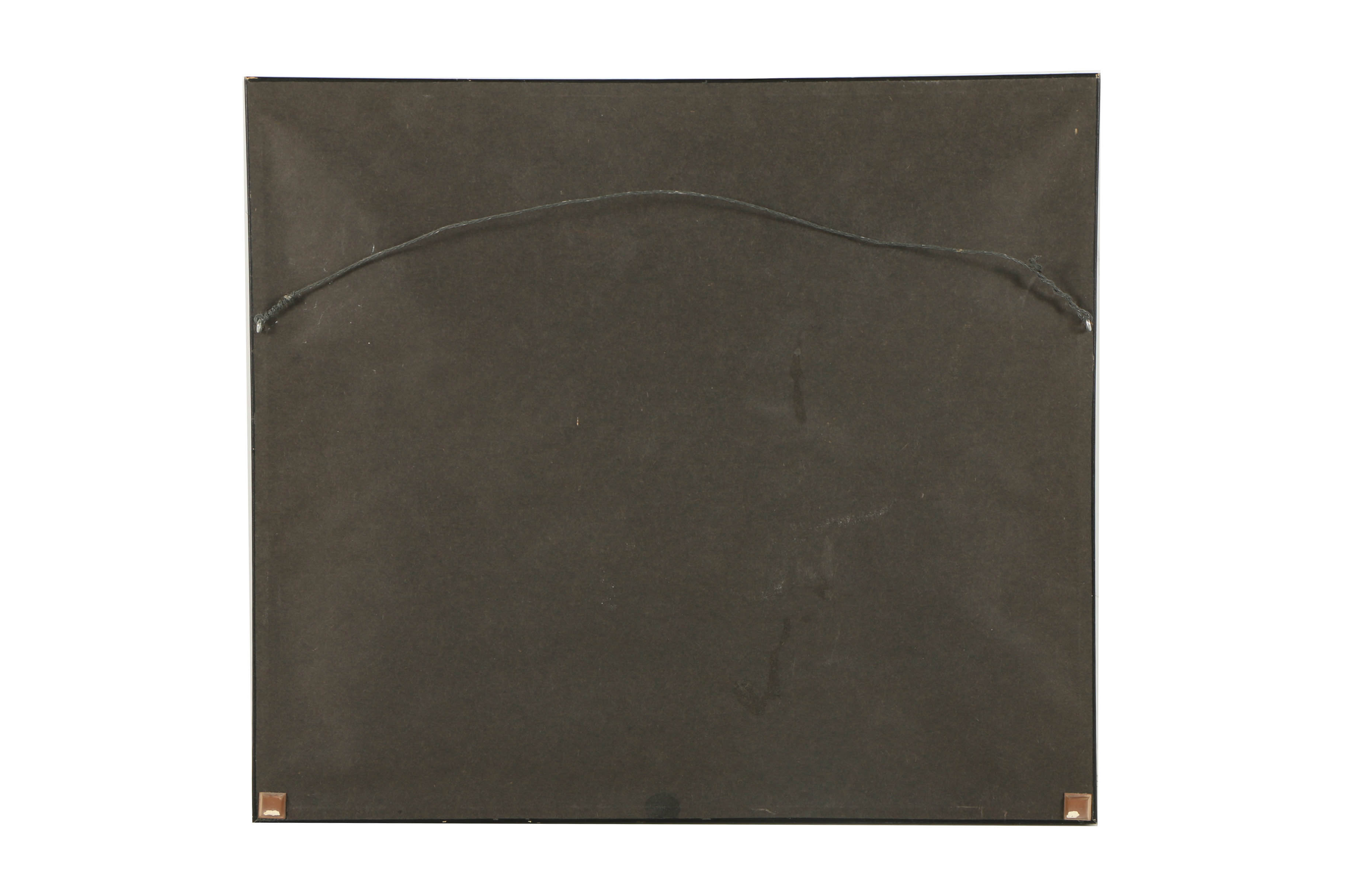 Allison Parker Botanical Ink Drawing