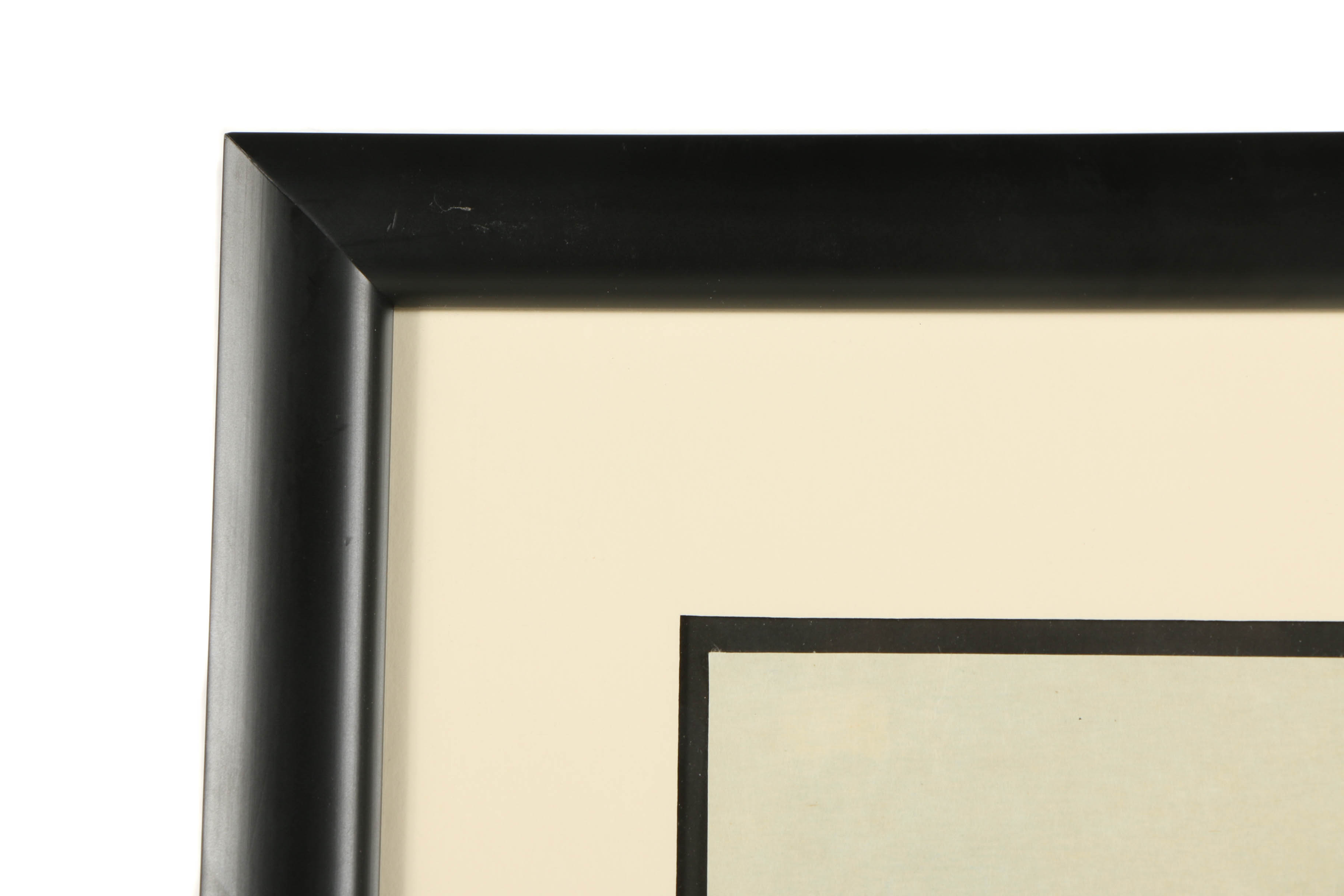 Re-strike Woodblock "Iris and Grasshopper" After Katsushika Hokusai