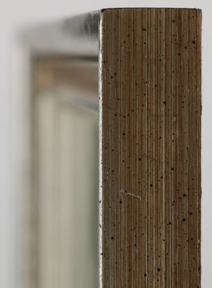 Hand-Colored Engraving "Myosurus Minimus"