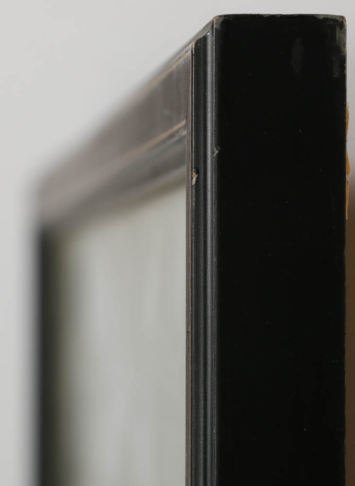 Todd Krebs Lithograph "Bi-Cycle"