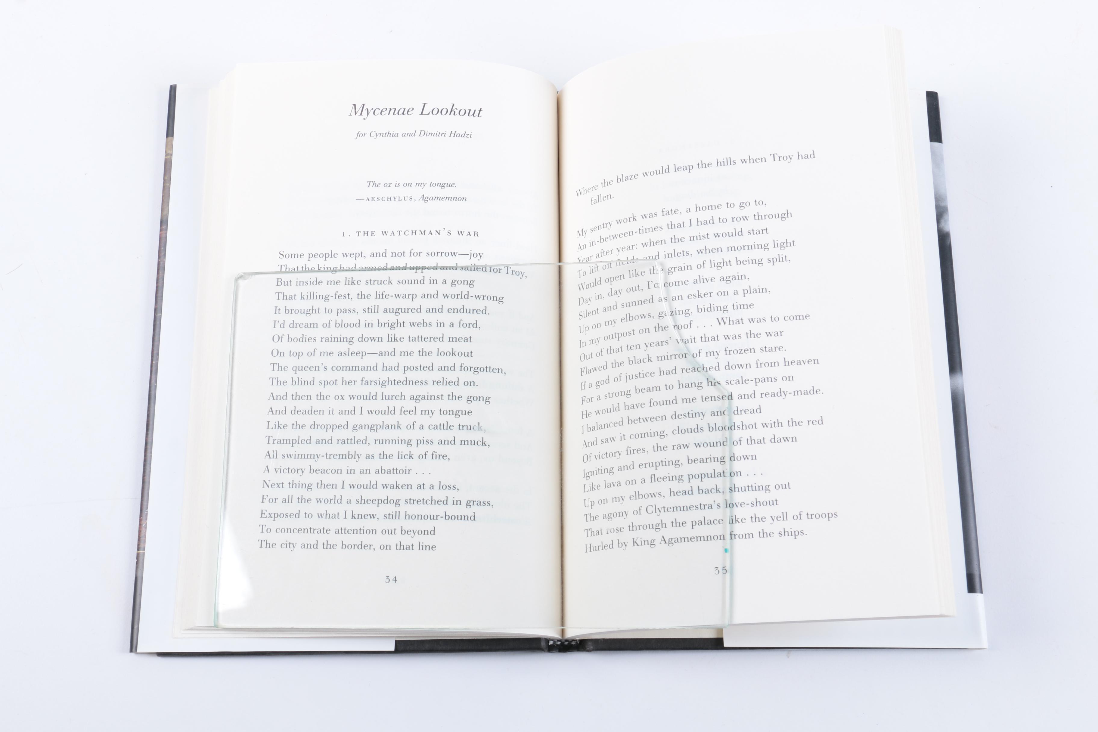 1996 Signed "The Spirit Level" by Seamus Heaney