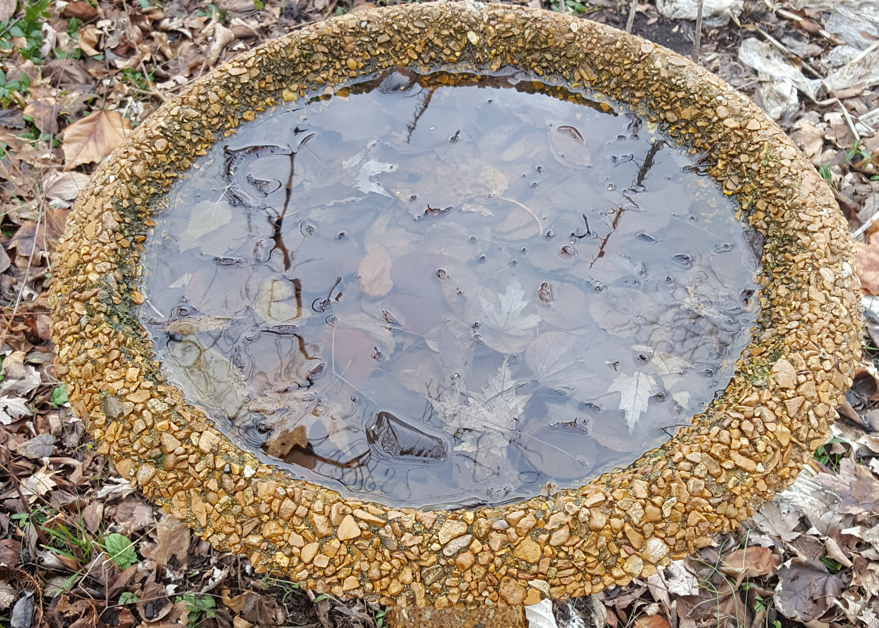 Concrete Bird Bath