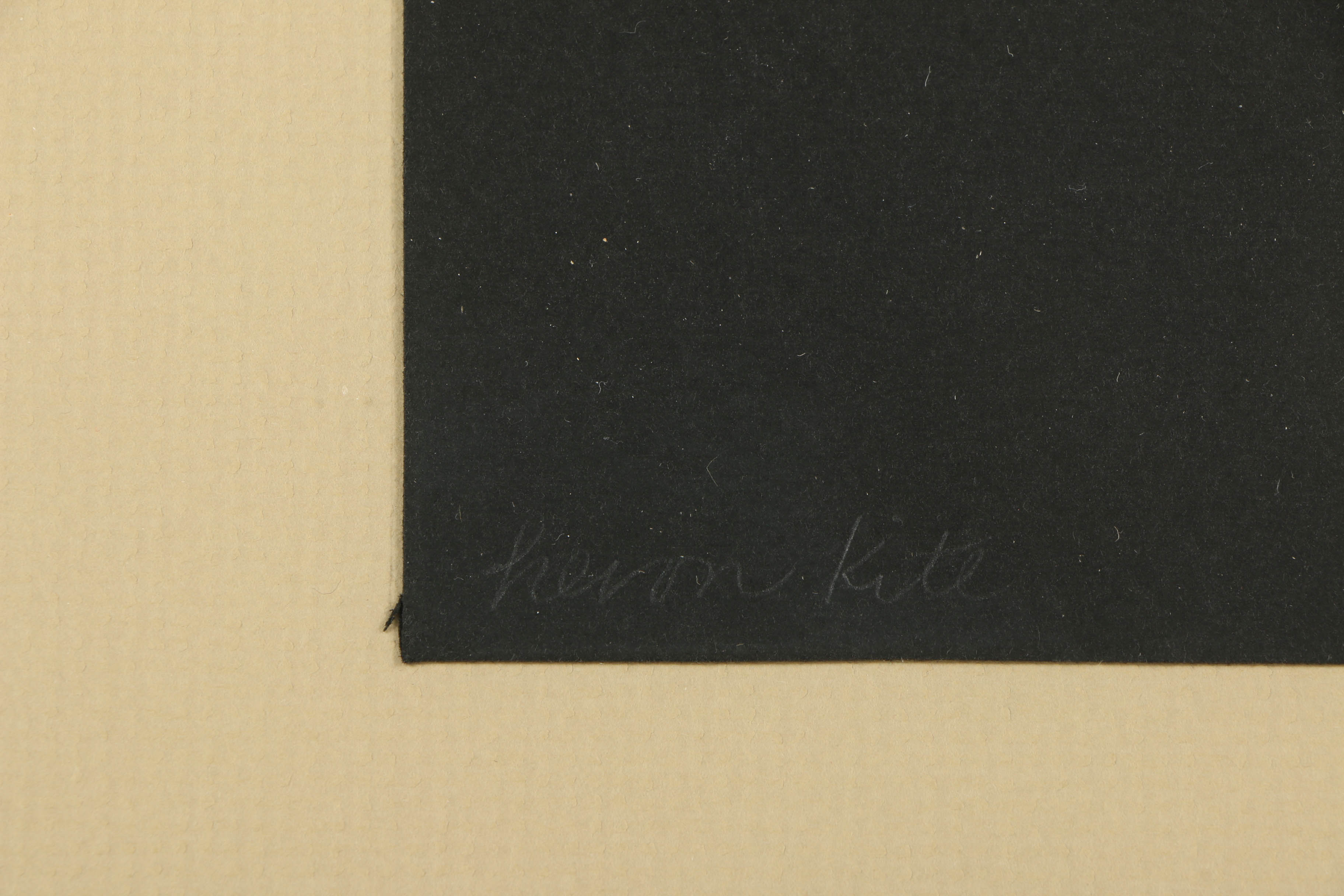 Christine Tarpey Mixed Media "Heron Kite"