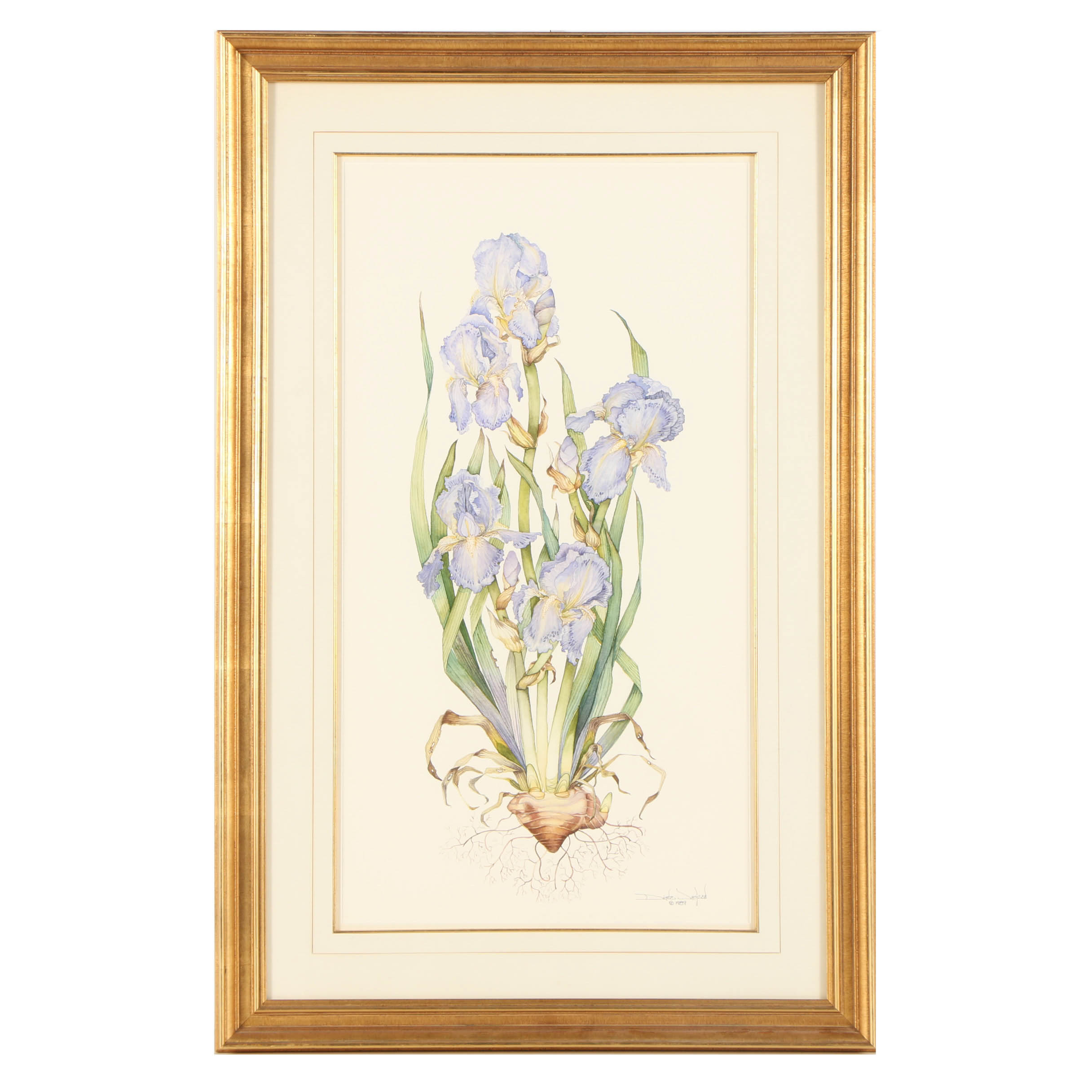 Diane Jackson Watercolor