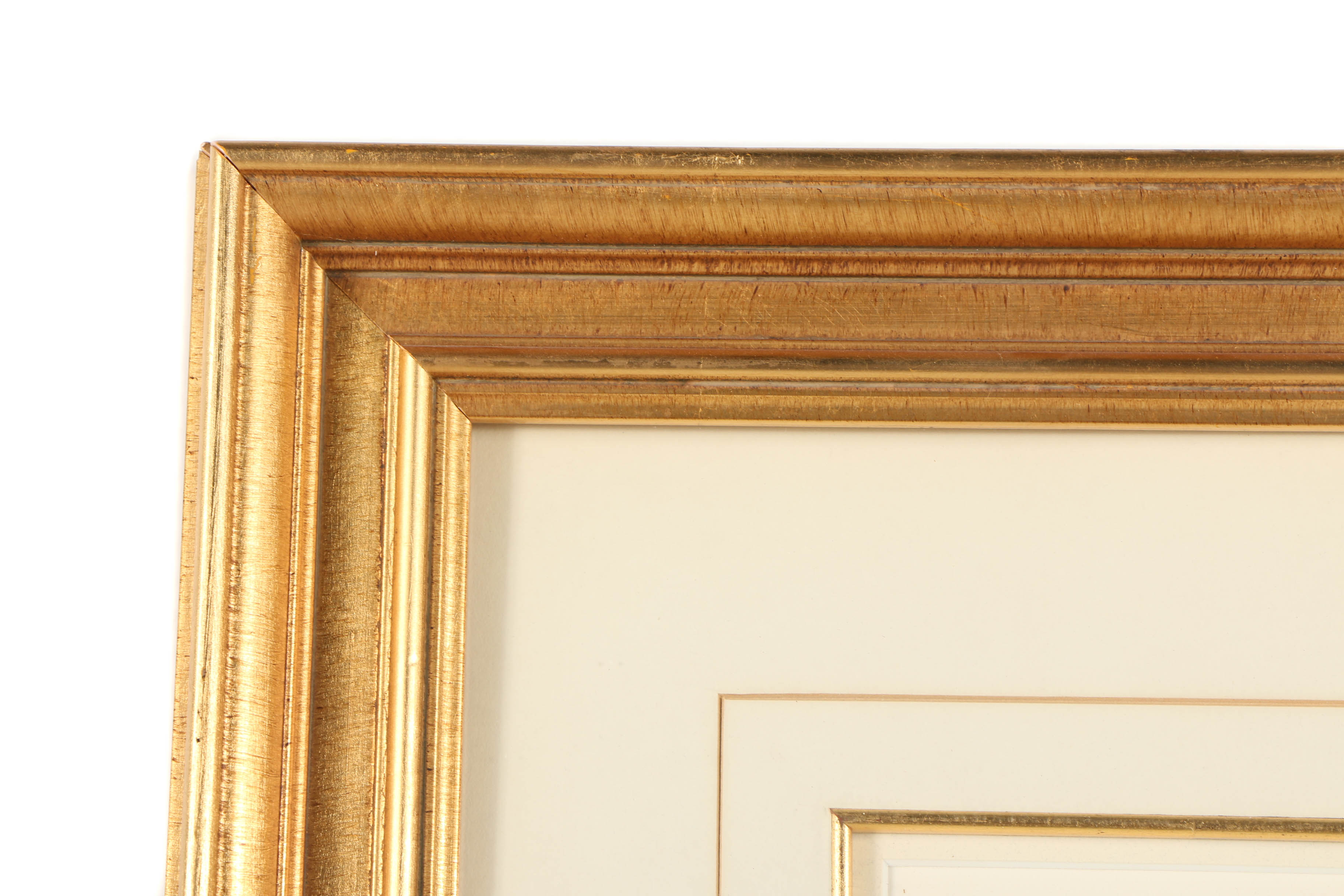 Diane Jackson Watercolor