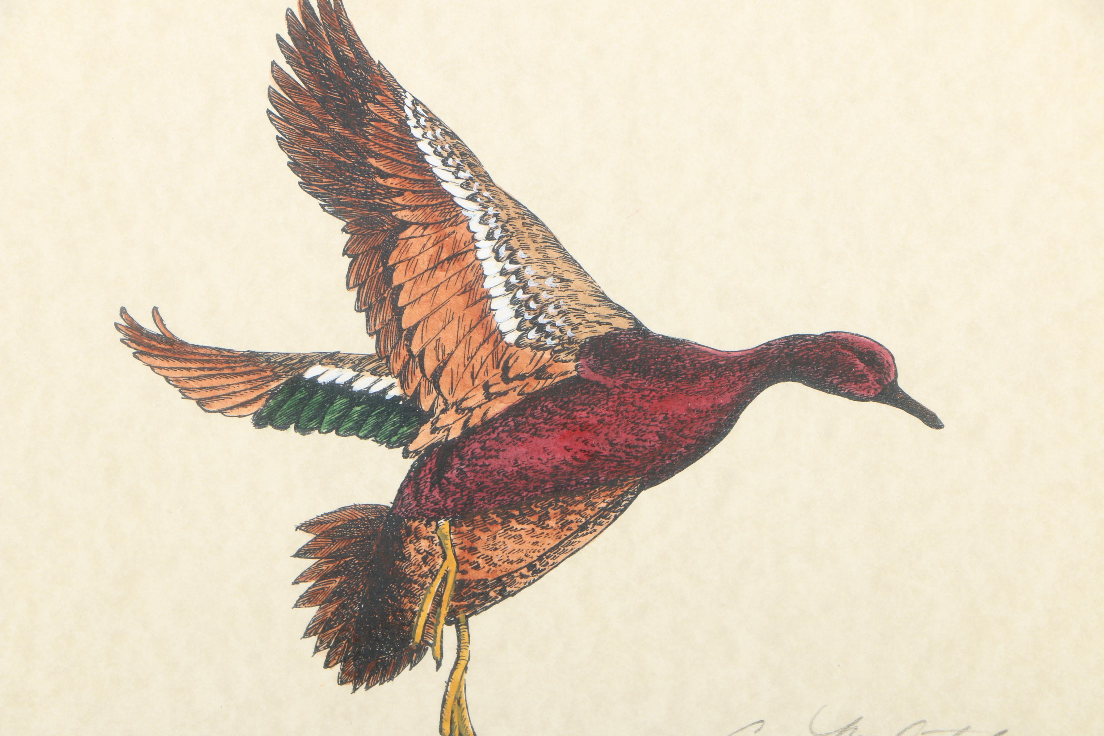 Ann McCutchen Hand-Colored Lithographs