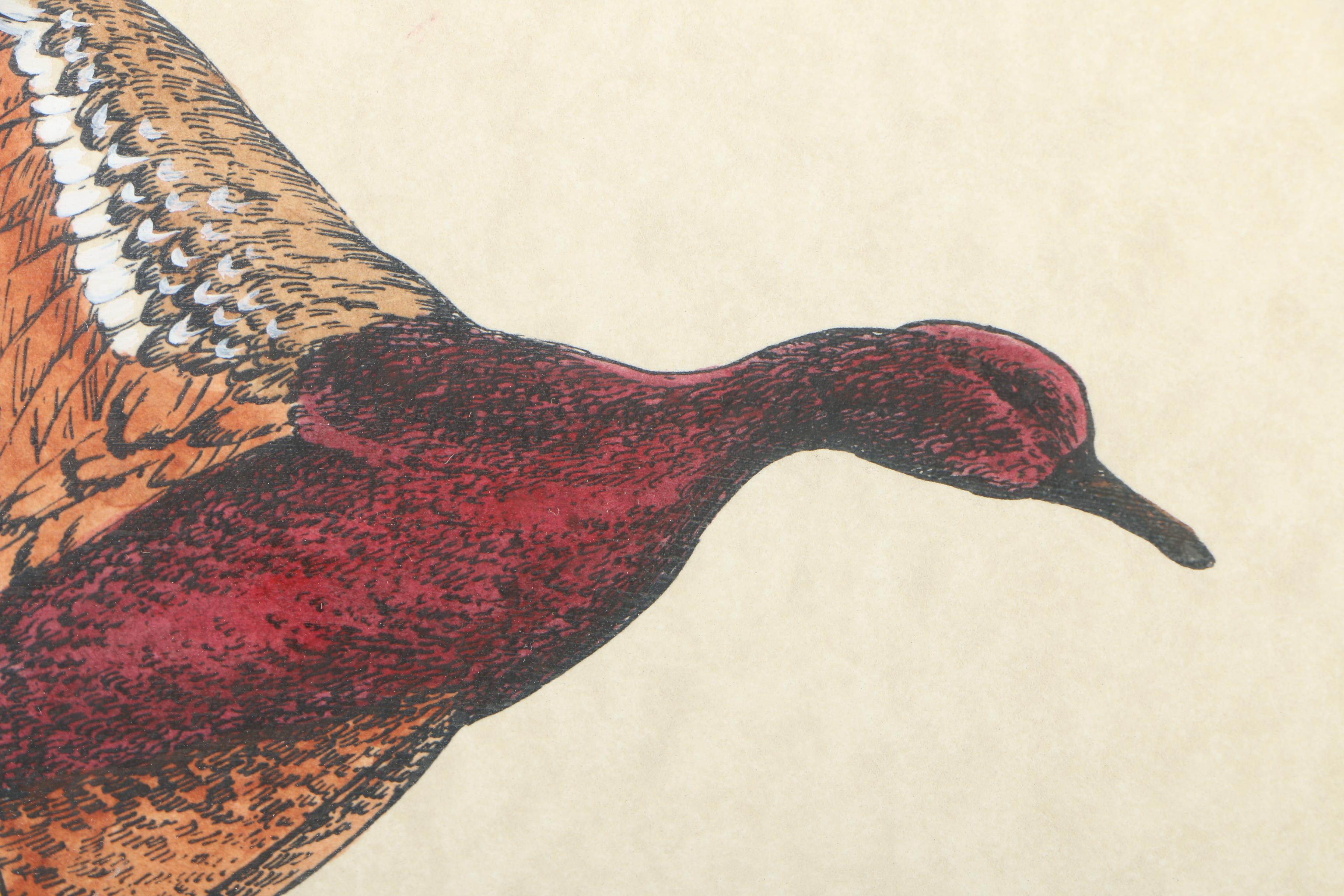 Ann McCutchen Hand-Colored Lithographs