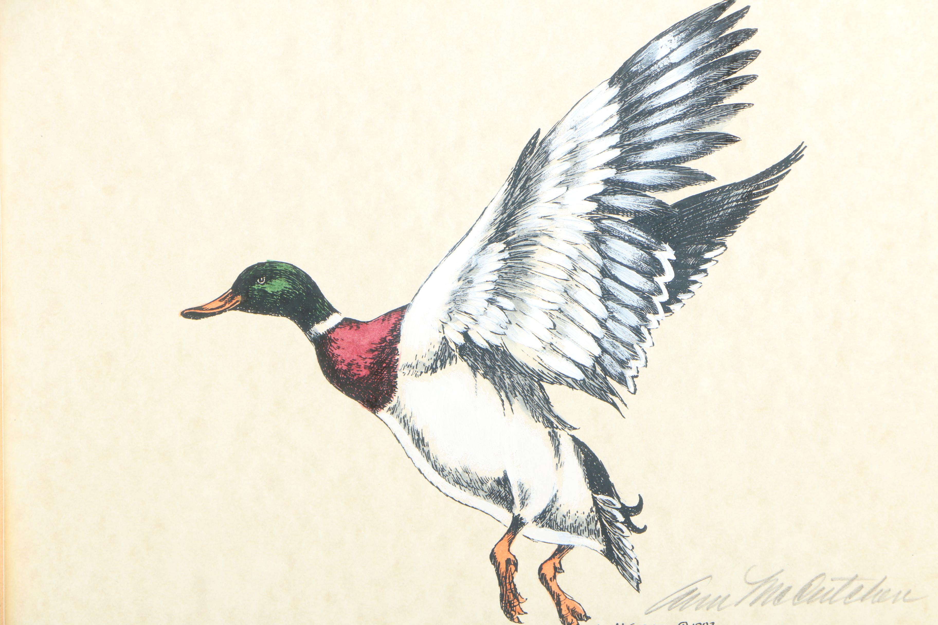 Ann McCutchen Hand-Colored Lithographs