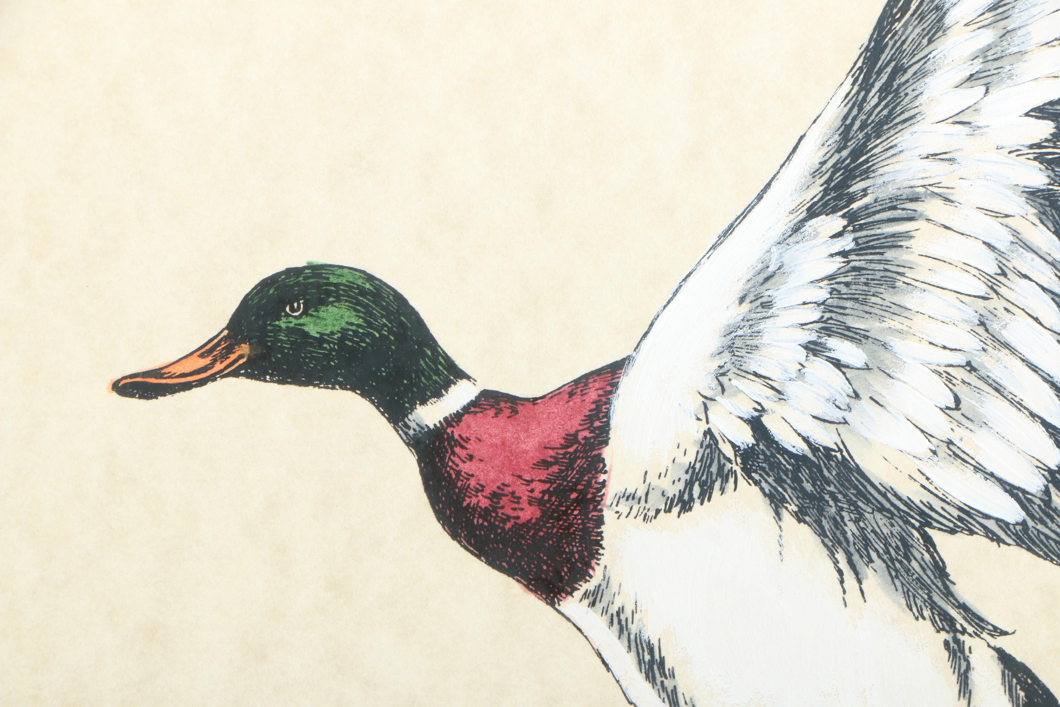 Ann McCutchen Hand-Colored Lithographs