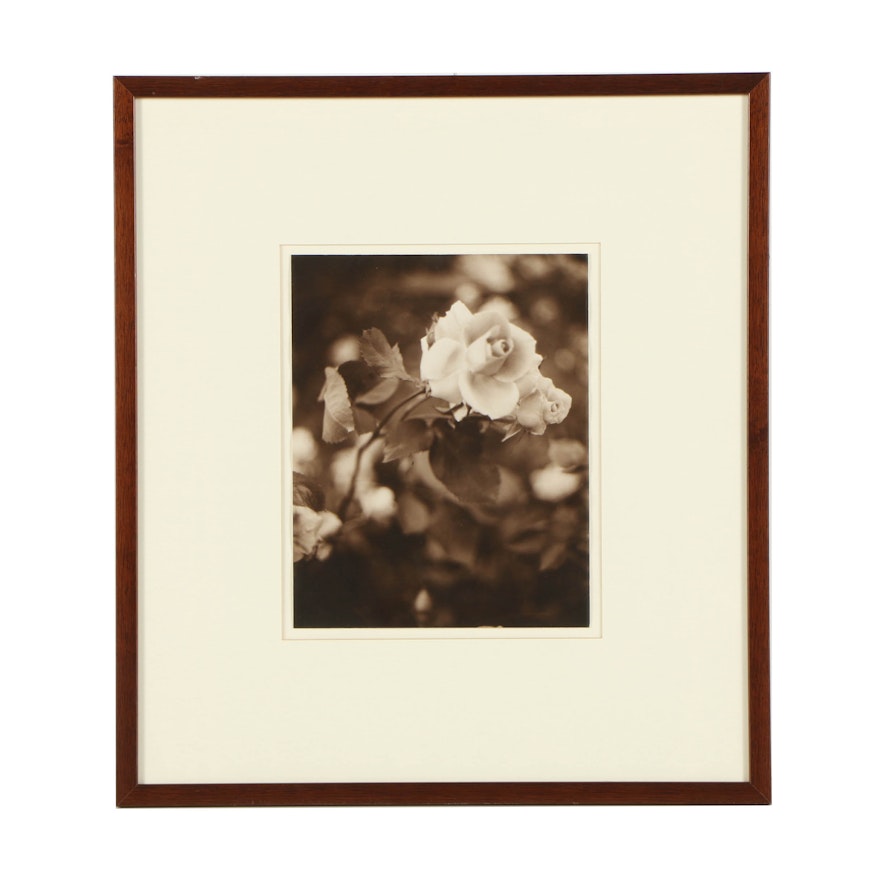 Louis Papp Sepia-Toned Analog Photograph of Roses