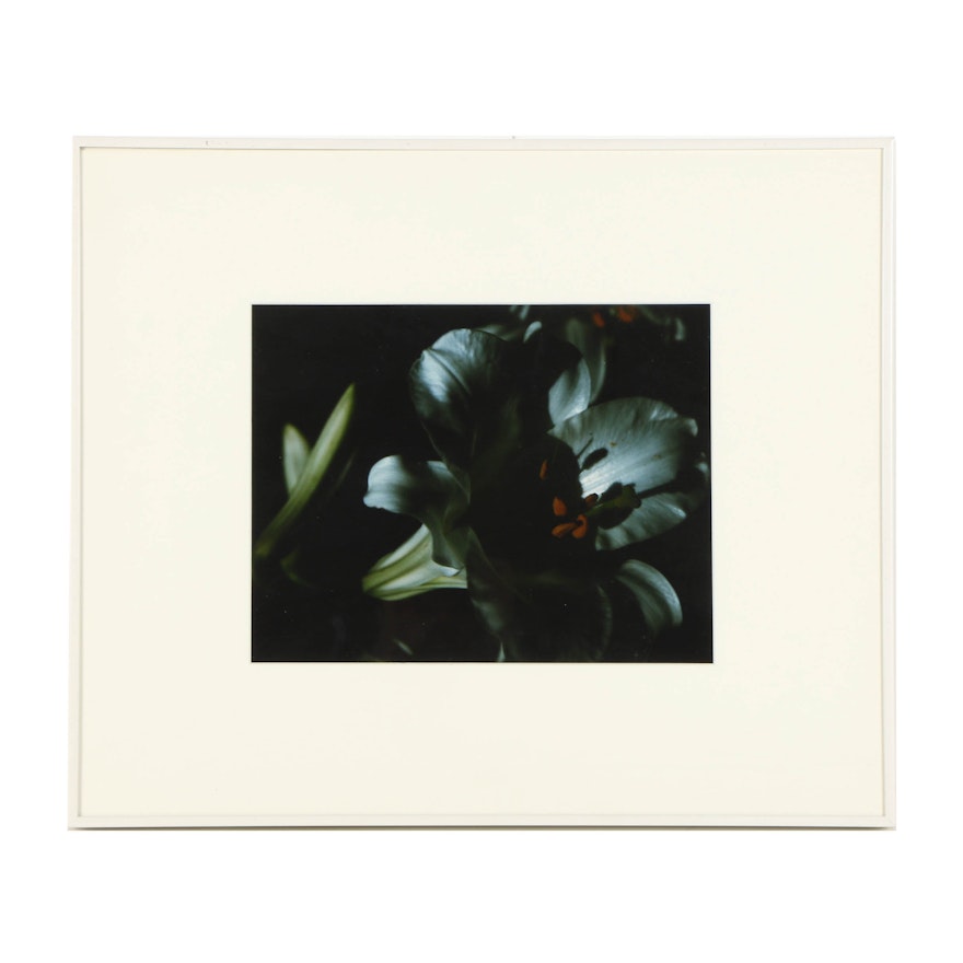 Louis Papp Color Photograph of Lilies