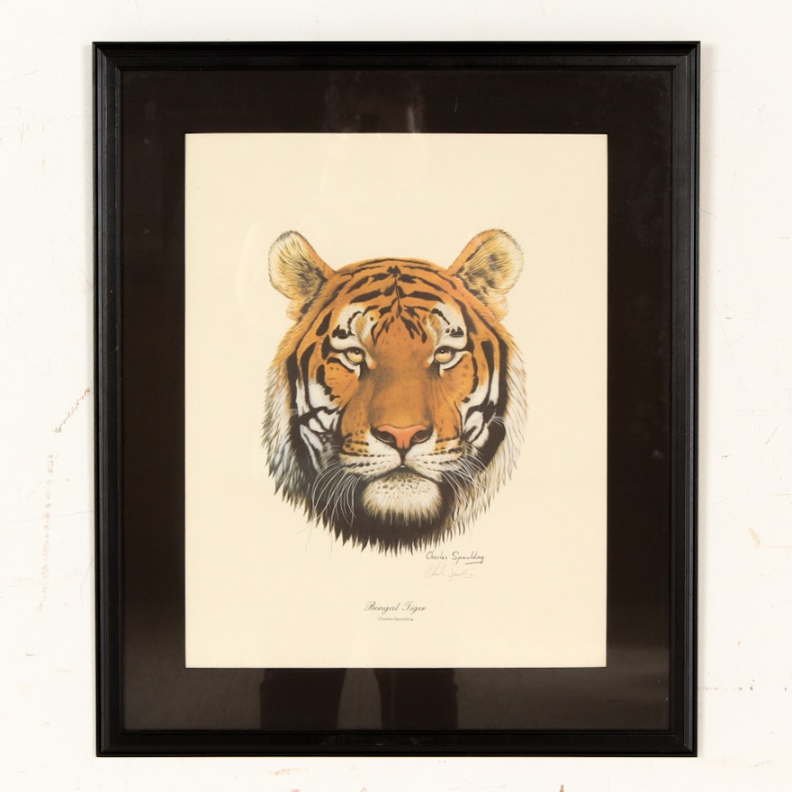 Charles Spaulding Offset Lithograph "Bengal Tiger"