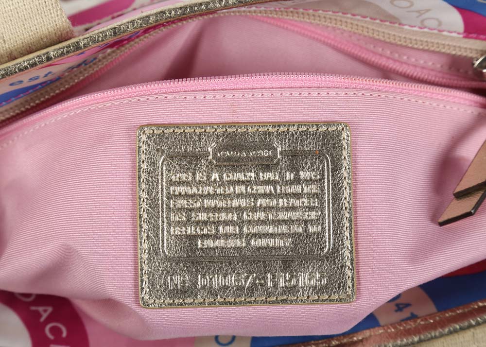 Coach Daisy Scarf Print Satchel Handbag