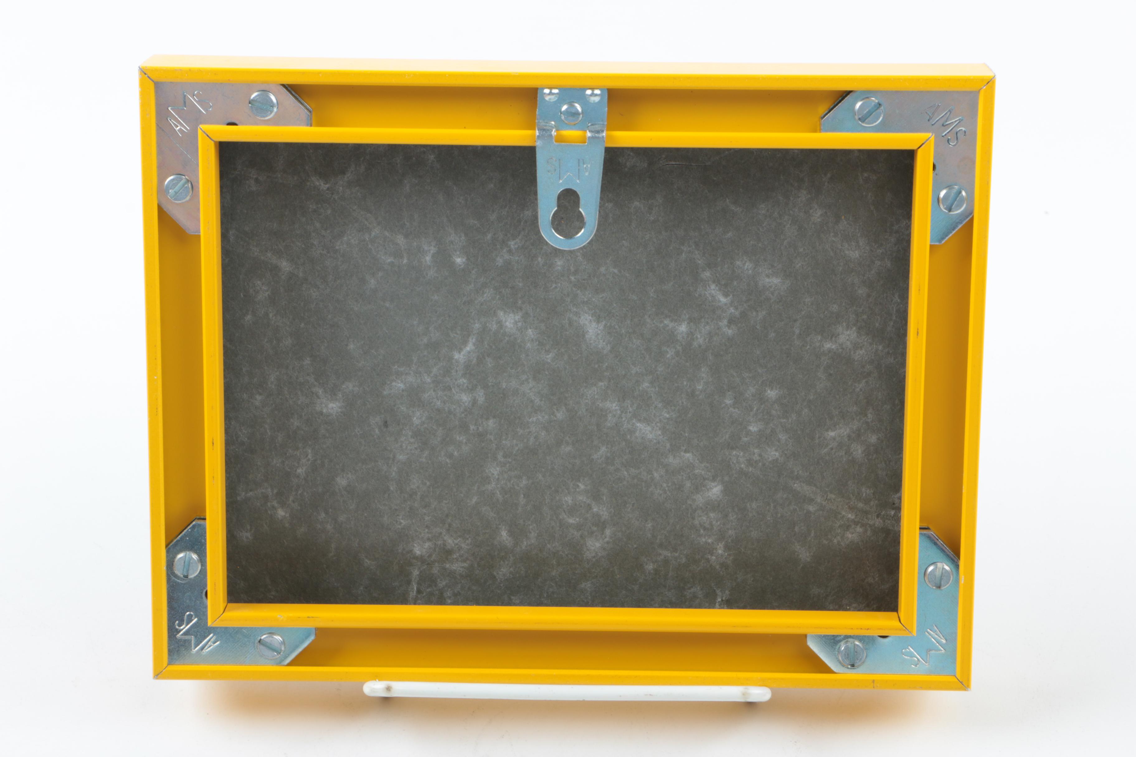 Assorted Framed Cartoons