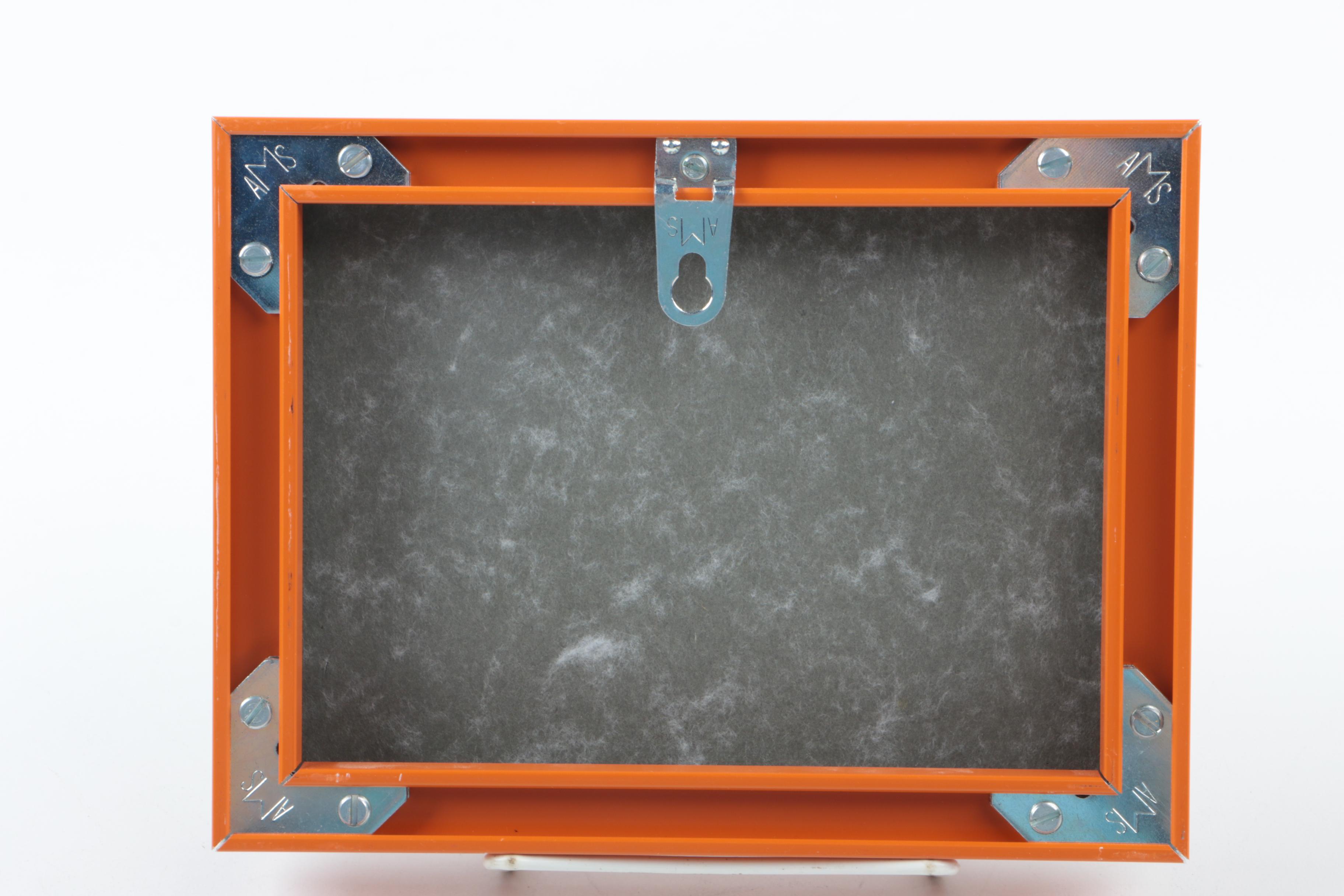 Assorted Framed Cartoons