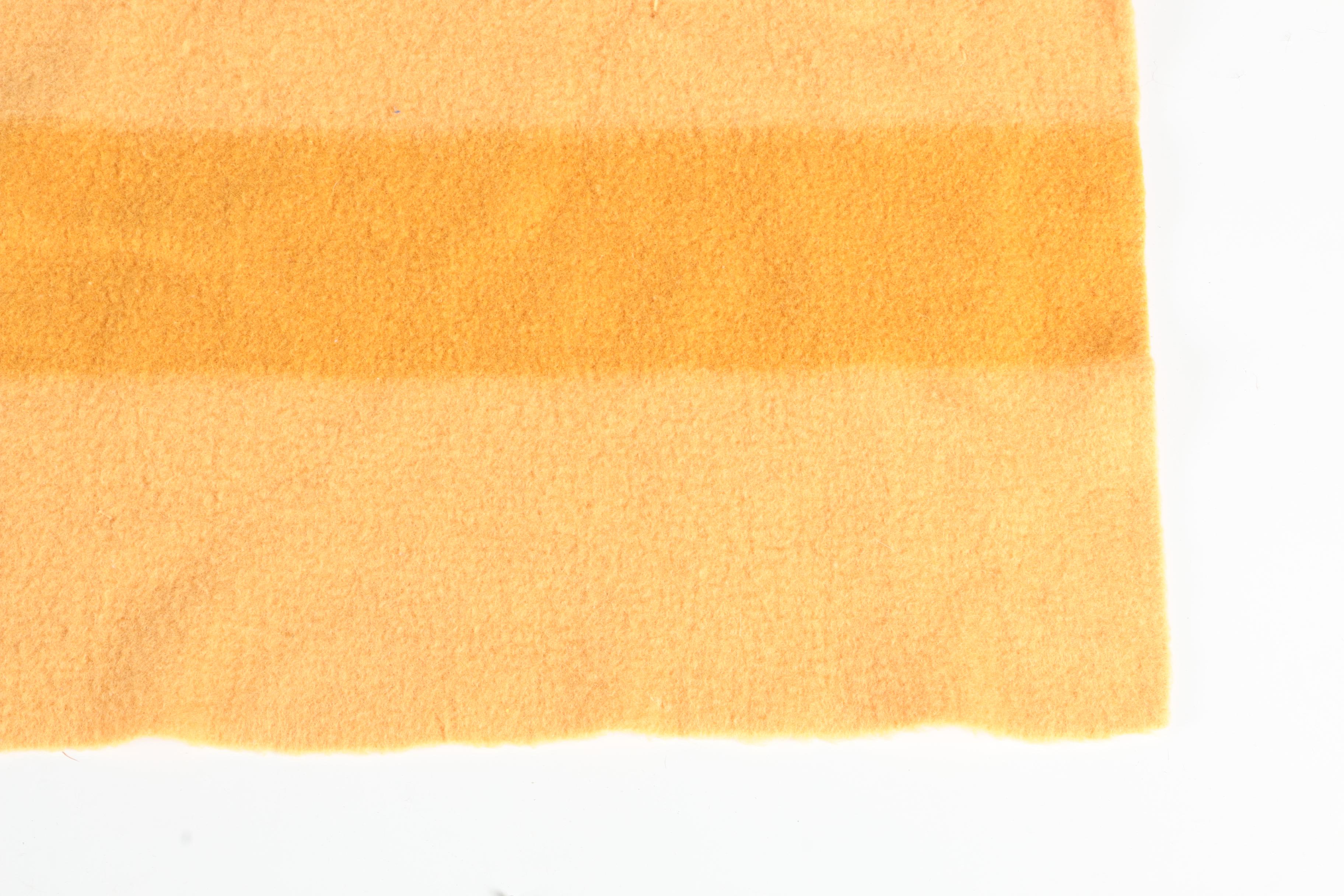 Hudson Bay Wool Blanket