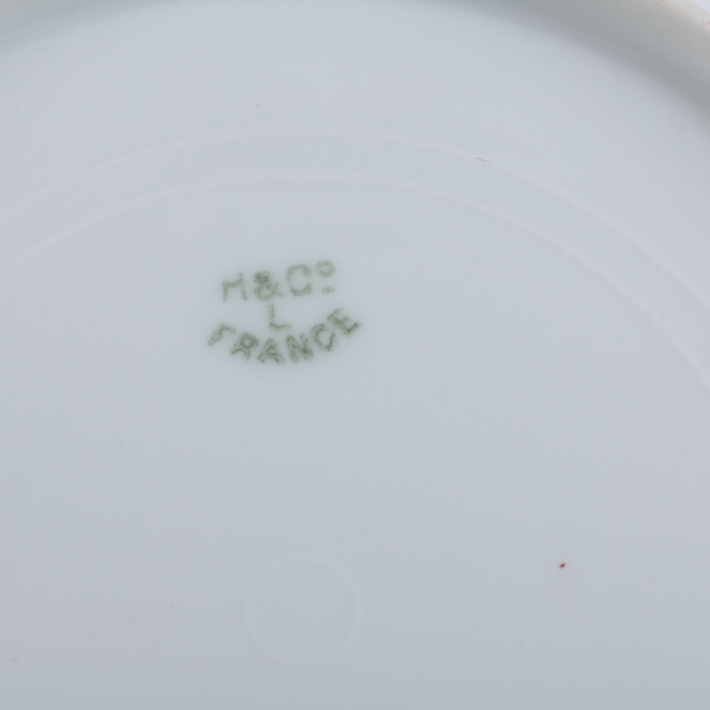 Hand Painted Haviland Limoges Porcelain Plates