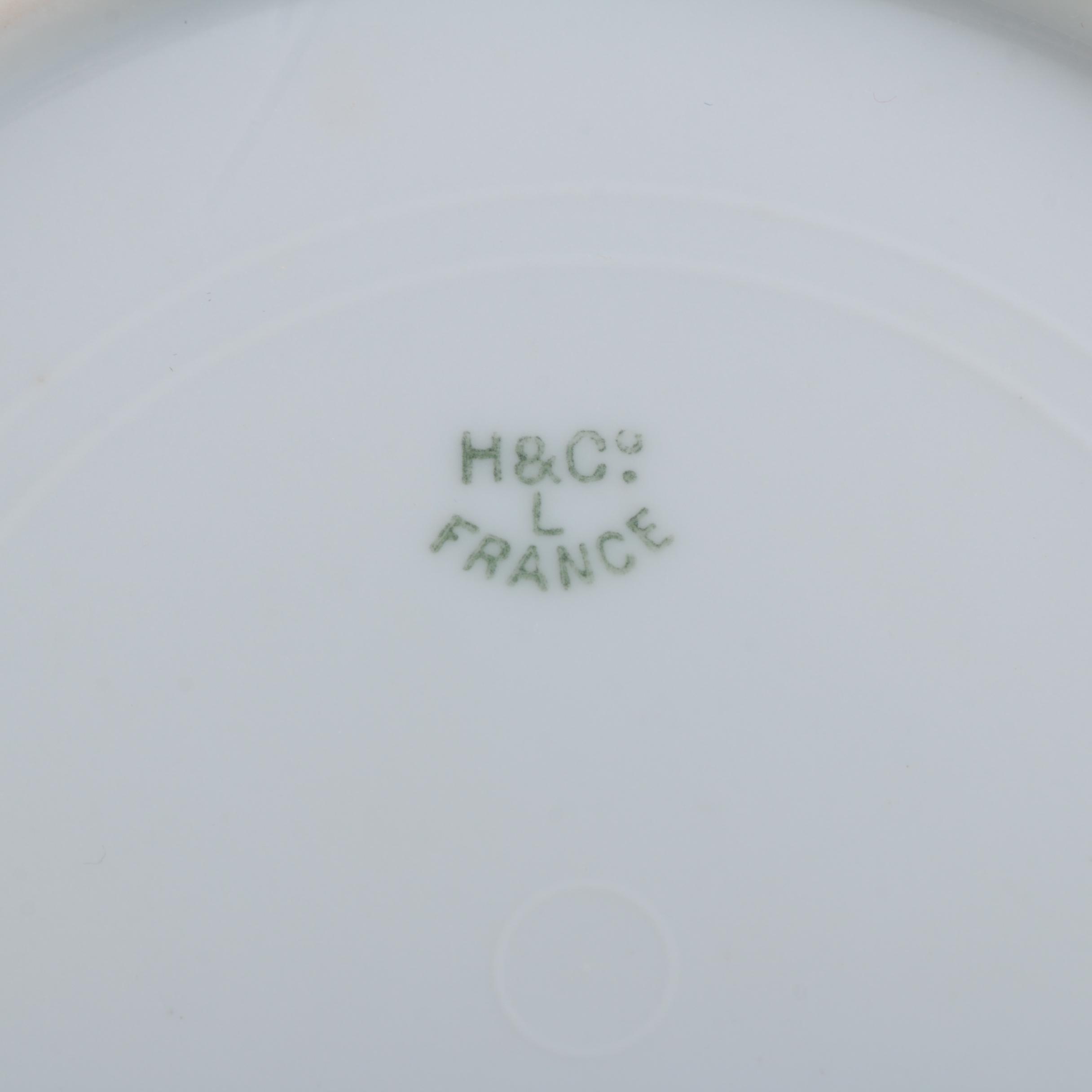 Hand Painted Haviland Limoges Porcelain Plates