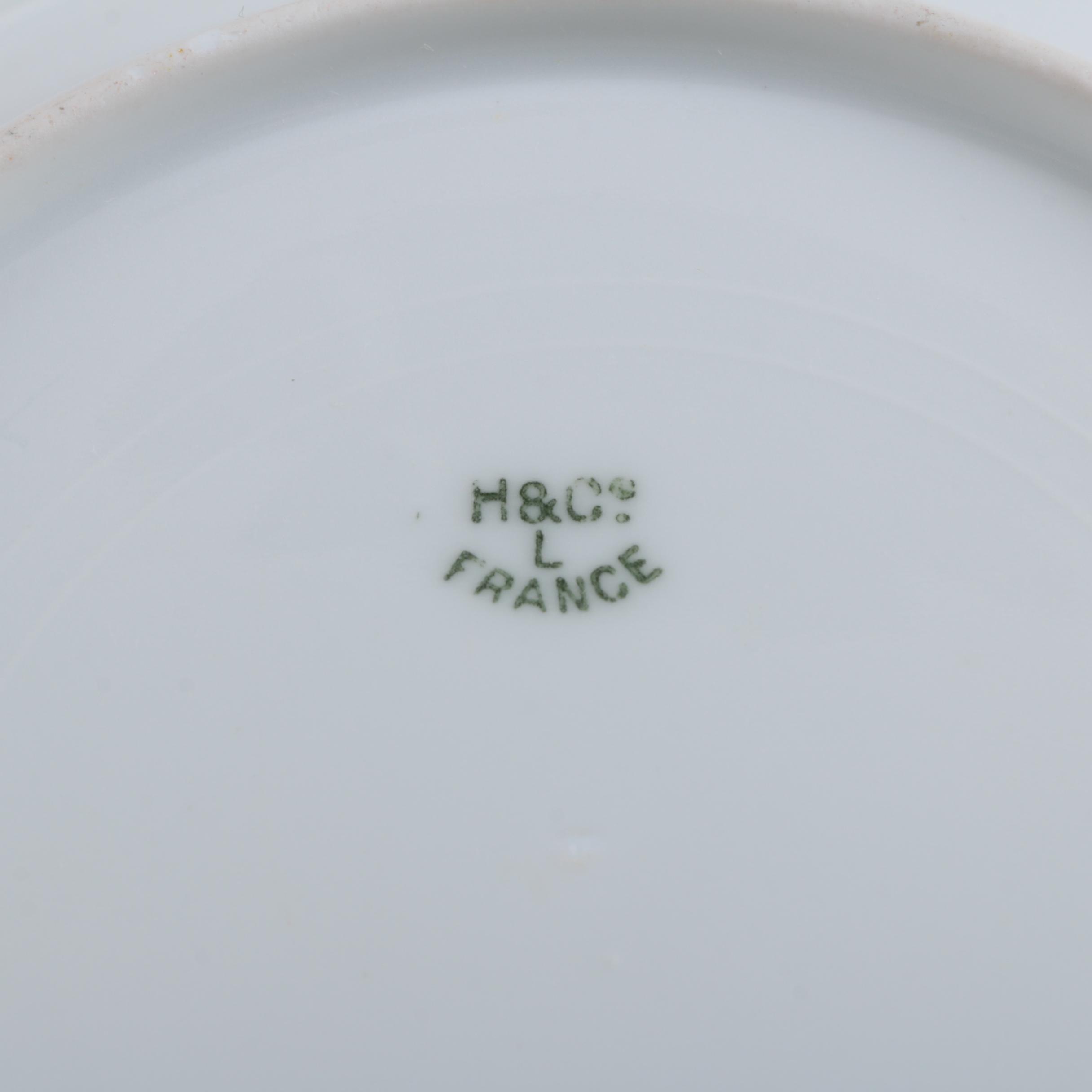 Hand Painted Haviland Limoges Porcelain Plates