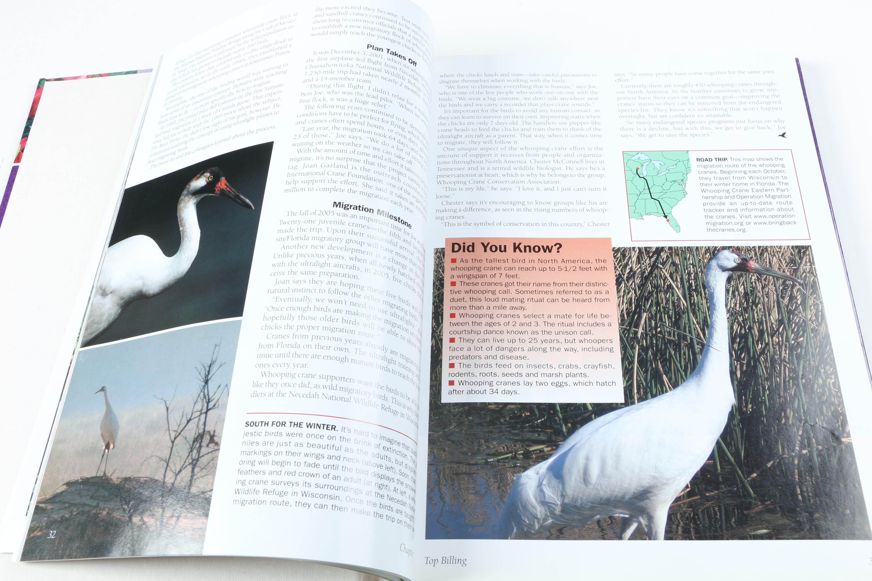 Books on Gardening Including 2001 "The Ultimate Book of Flowers"