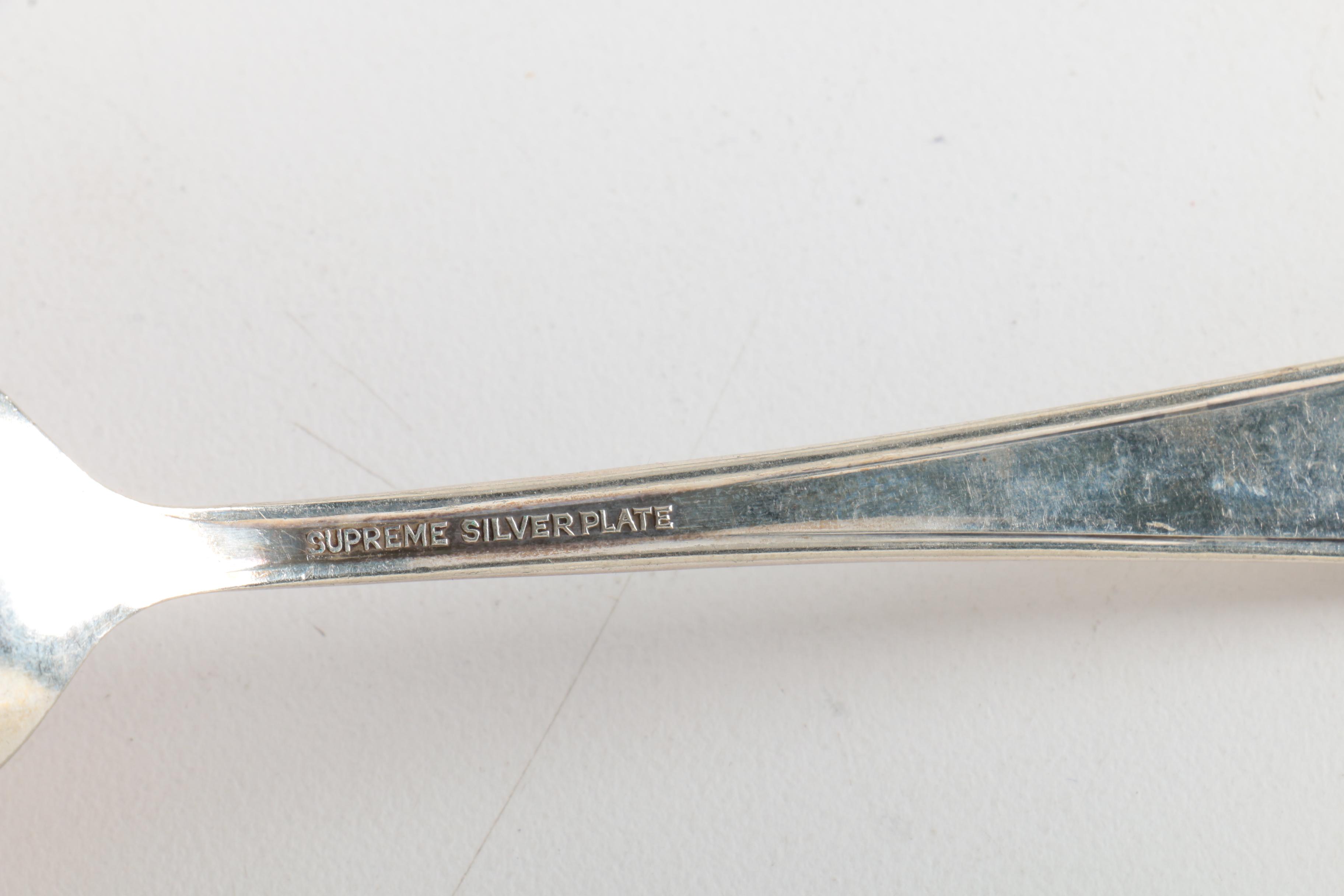 1881 Rogers "Lilac Time" Silver Plate Flatware and More