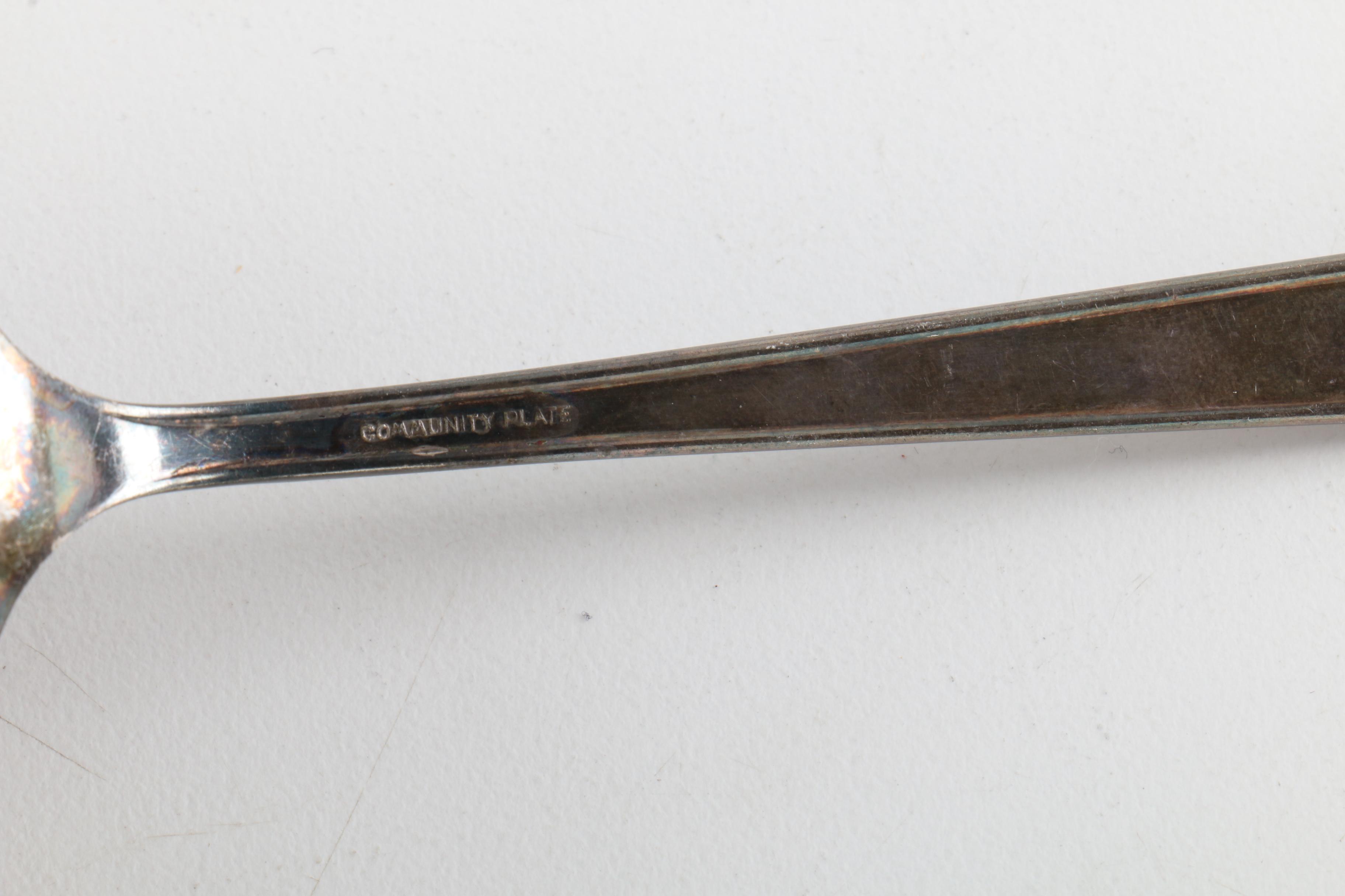 1881 Rogers "Lilac Time" Silver Plate Flatware and More