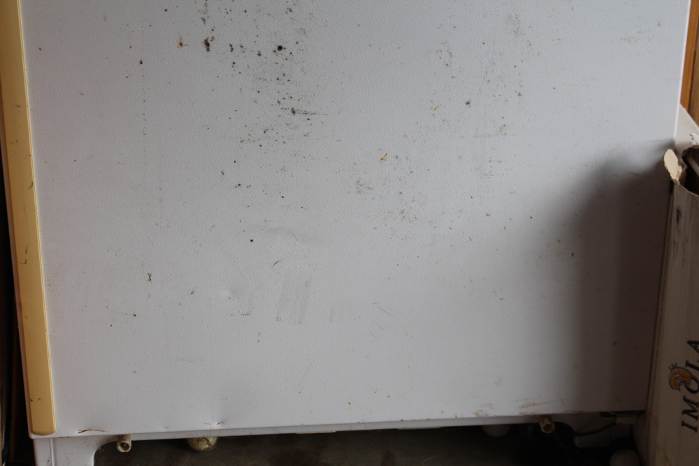 Kenmore Upright Freezer