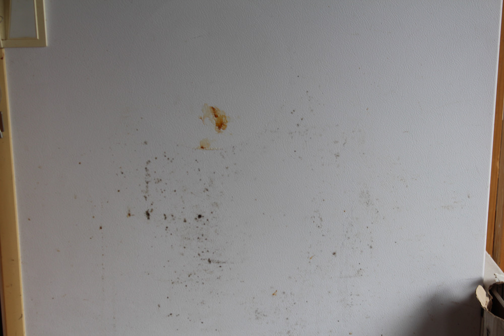 Kenmore Upright Freezer