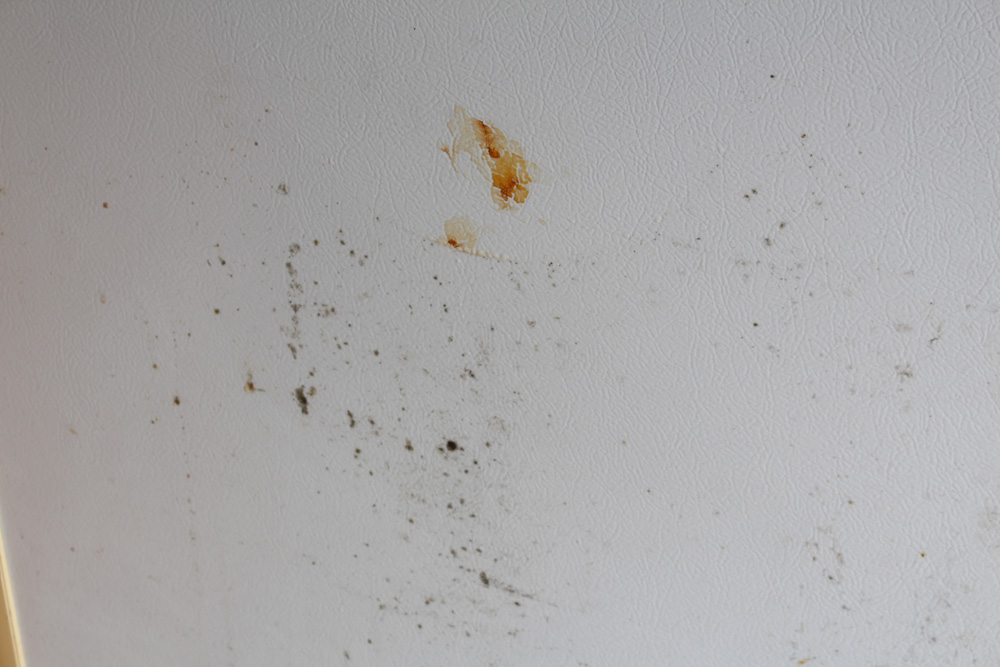 Kenmore Upright Freezer