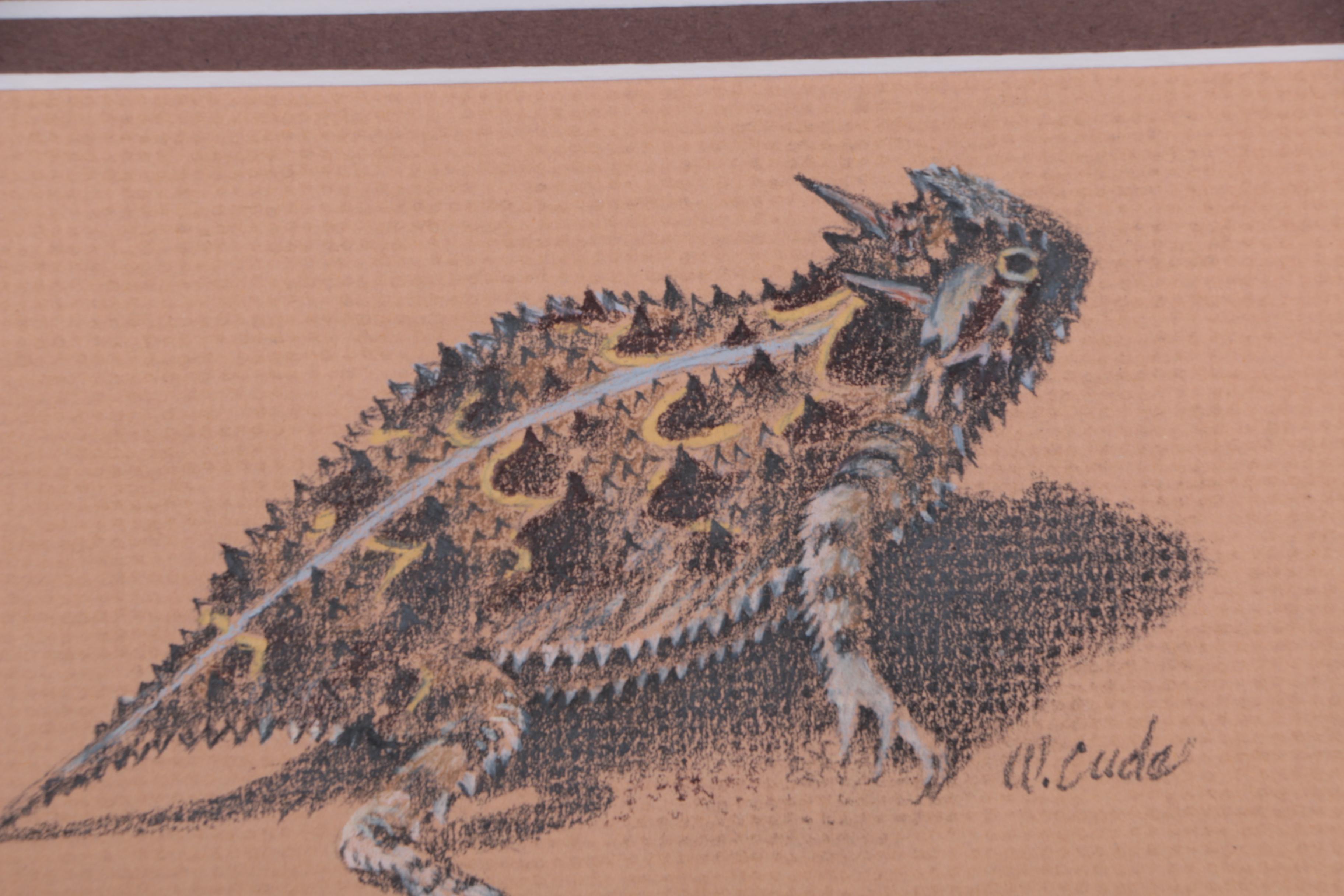 Walt Cude Pastel Drawing of a Horned Lizard