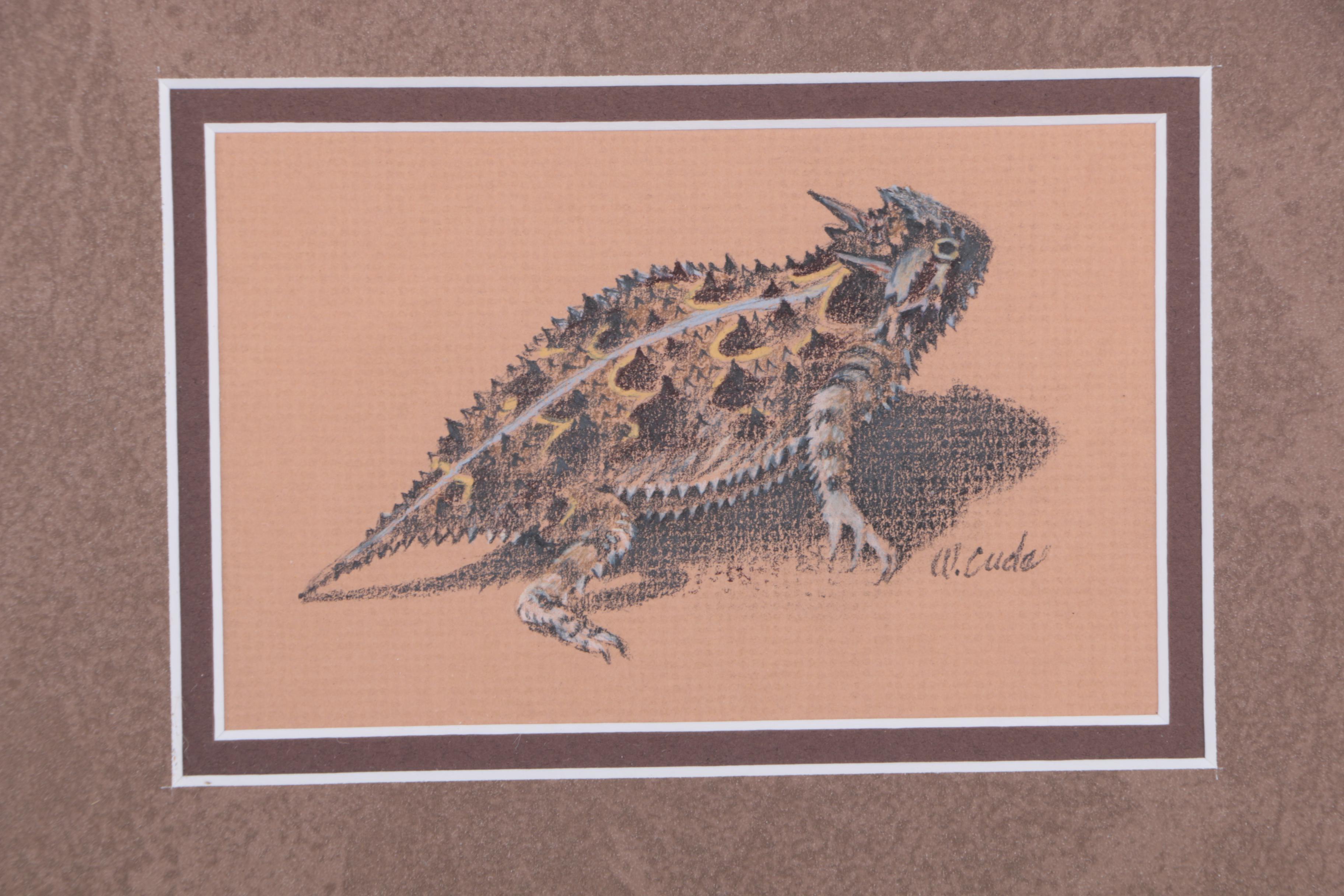 Walt Cude Pastel Drawing of a Horned Lizard
