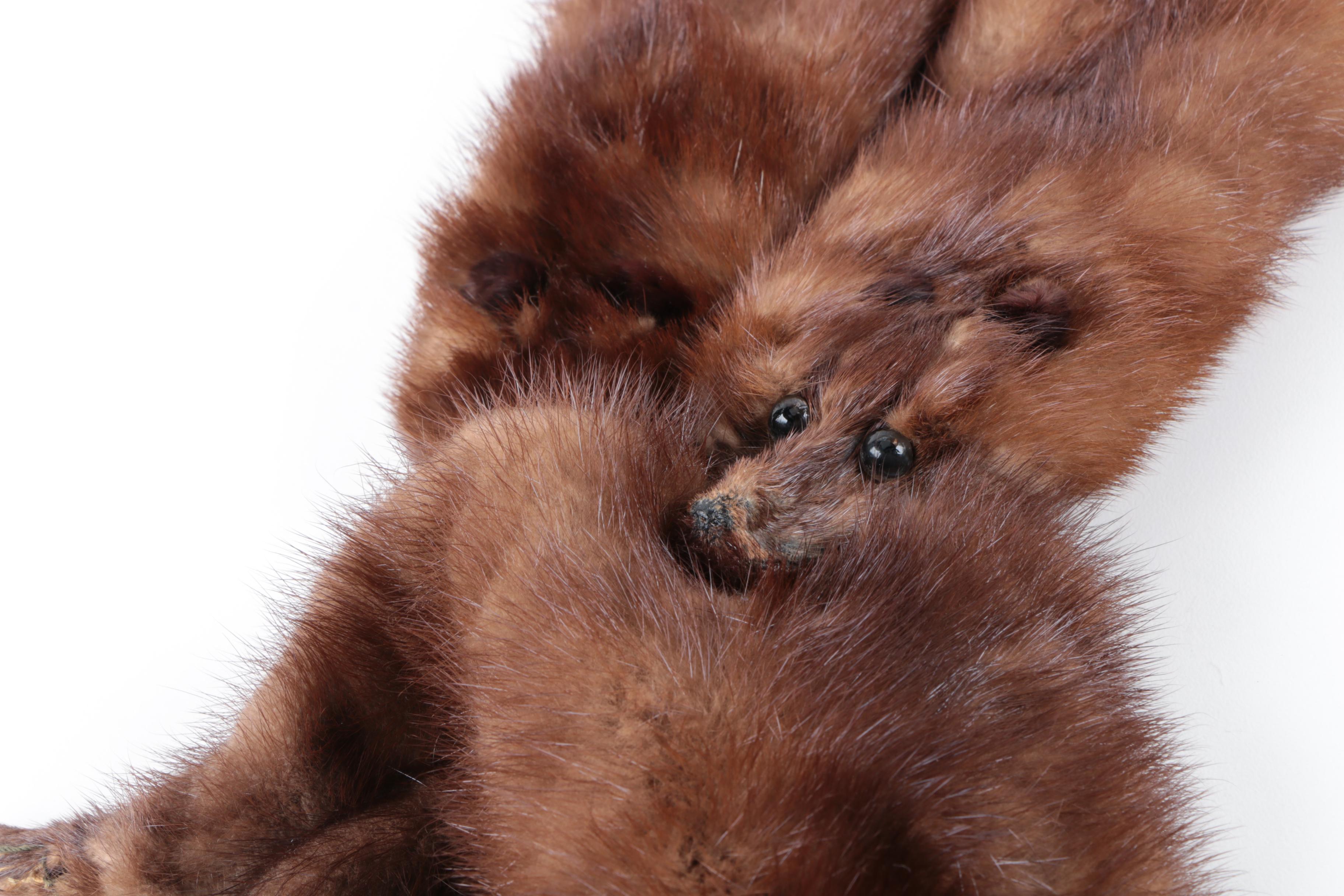 Vintage Full Pelt Mink Fur Stole