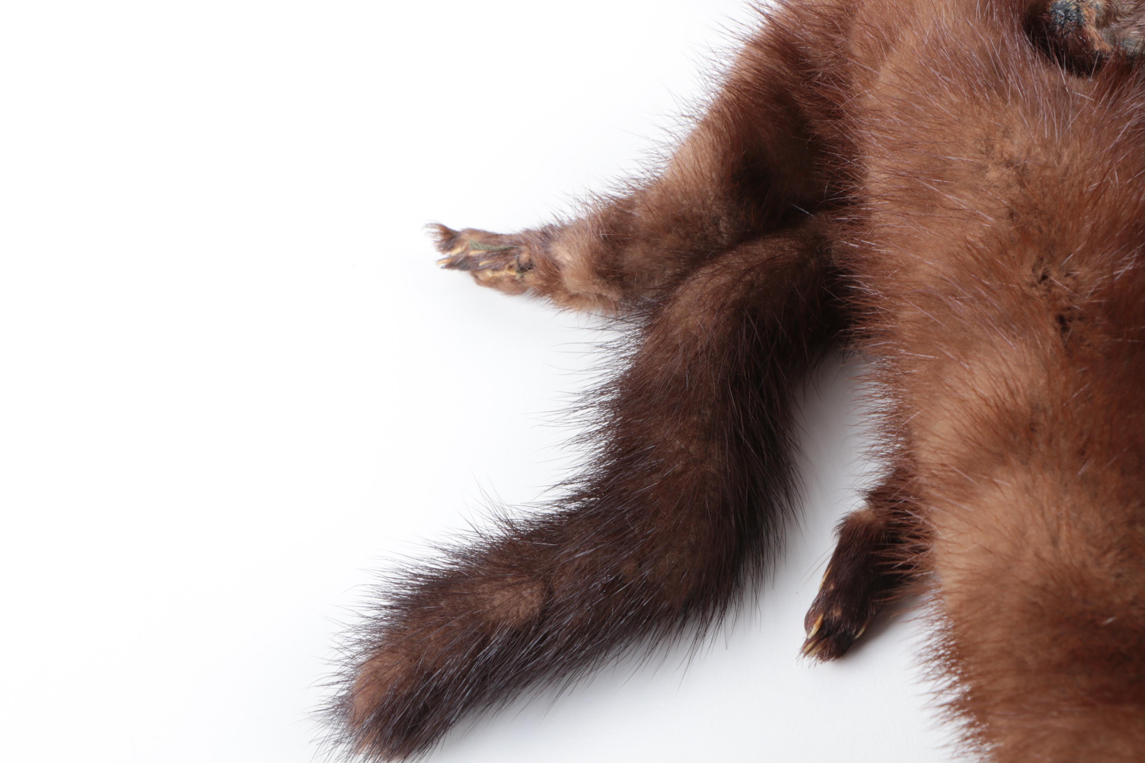 Vintage Full Pelt Mink Fur Stole