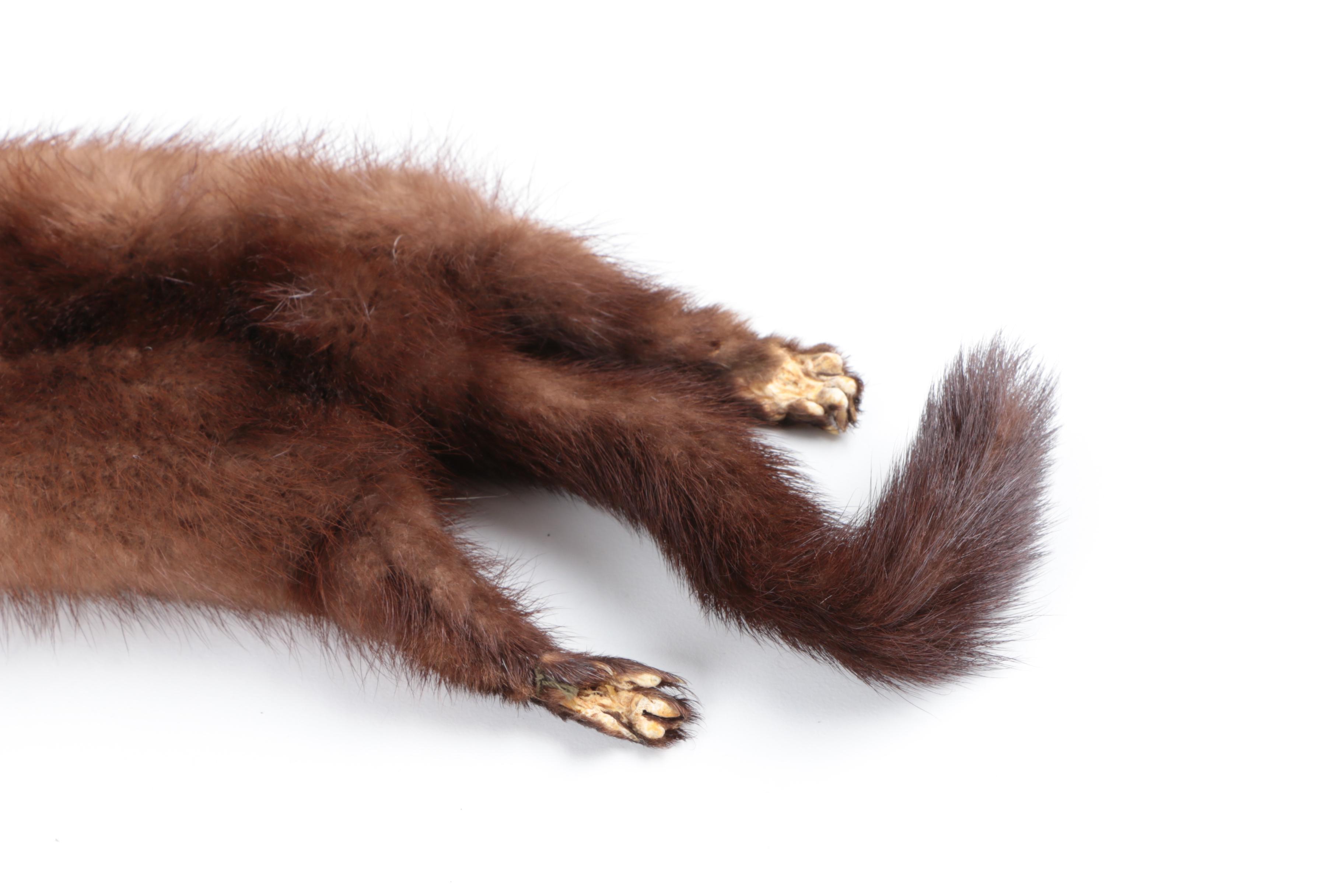 Vintage Full Pelt Mink Fur Stole