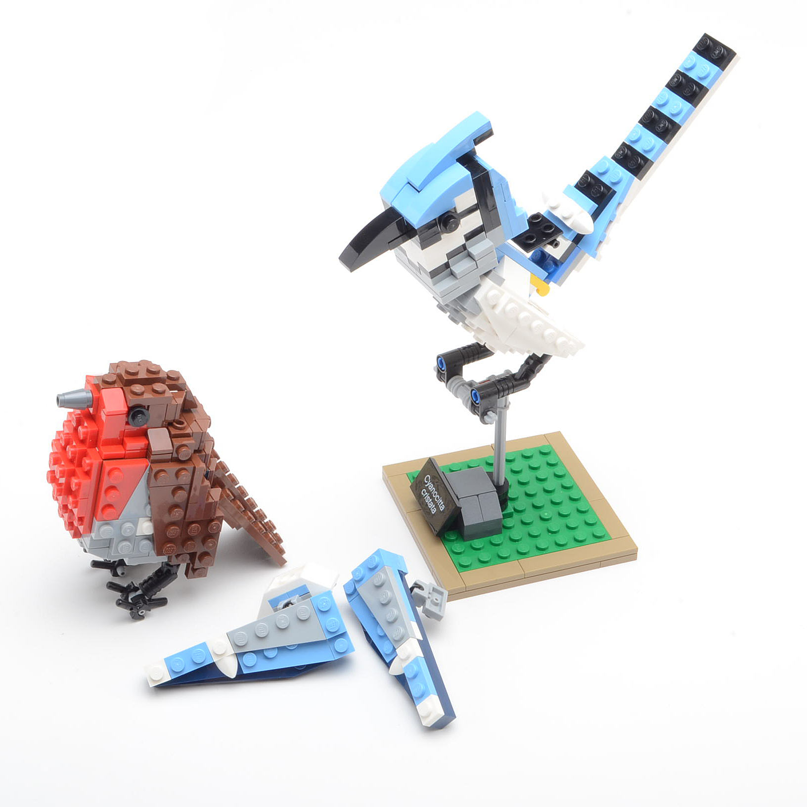 Lego "Birds" Set