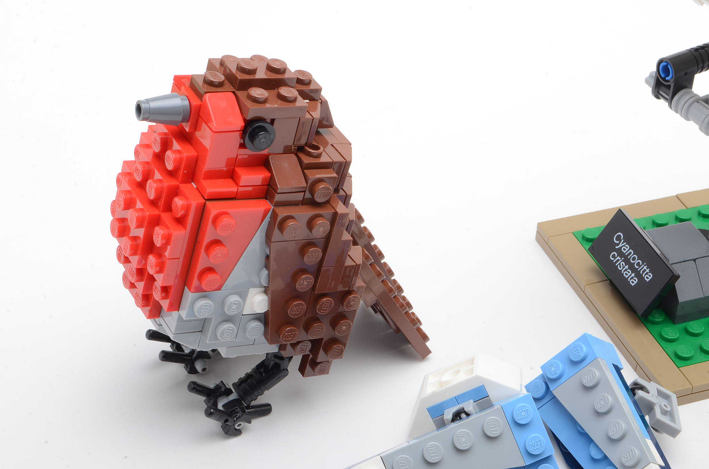 Lego "Birds" Set