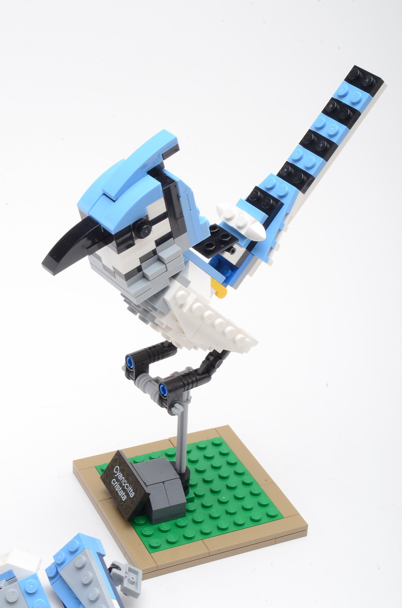Lego "Birds" Set